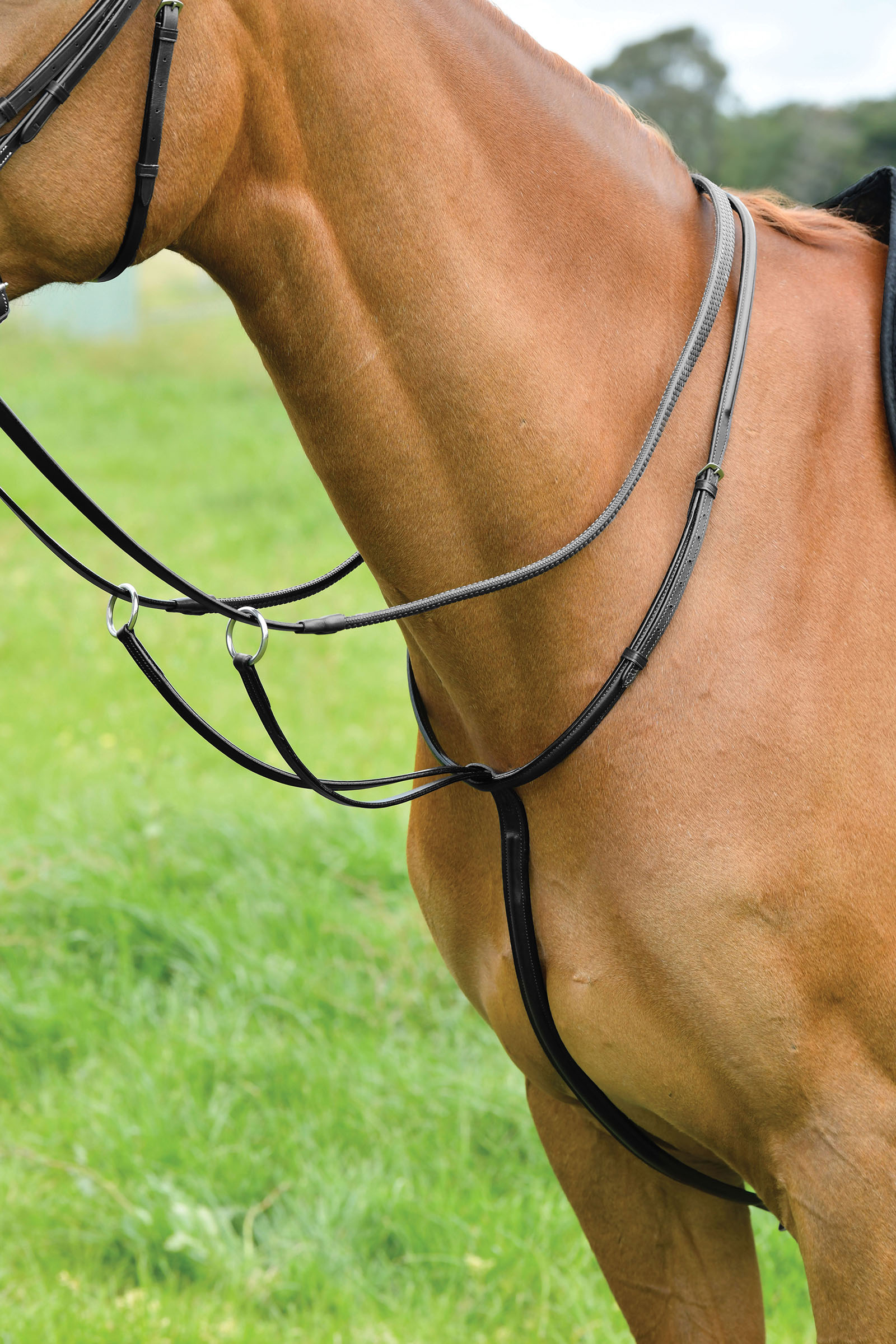 Kincade Classic Plain Raised Running Martingale