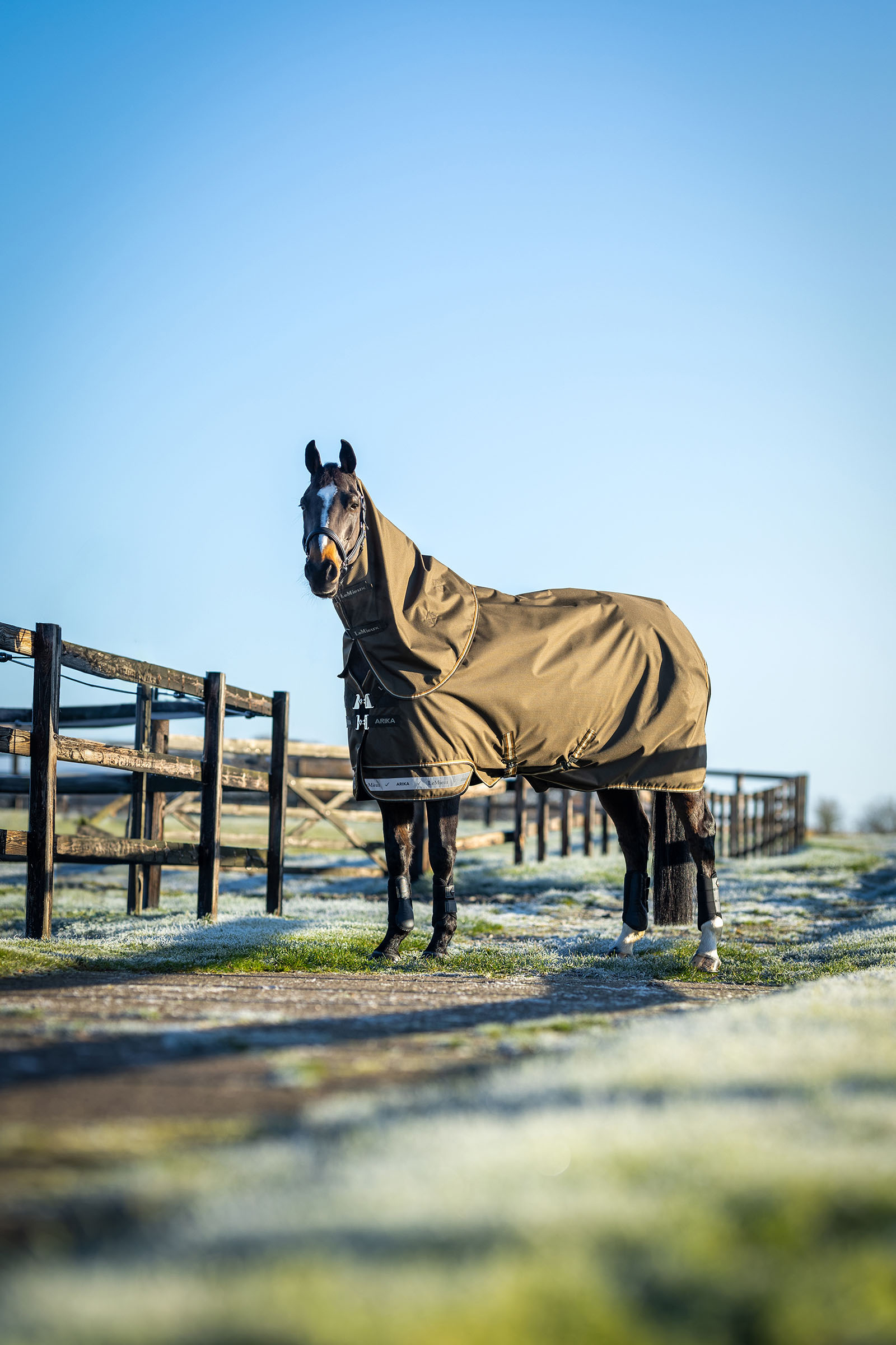 LeMieux Arika Ripstop Turnout Rug With Detachable Neck, 50g