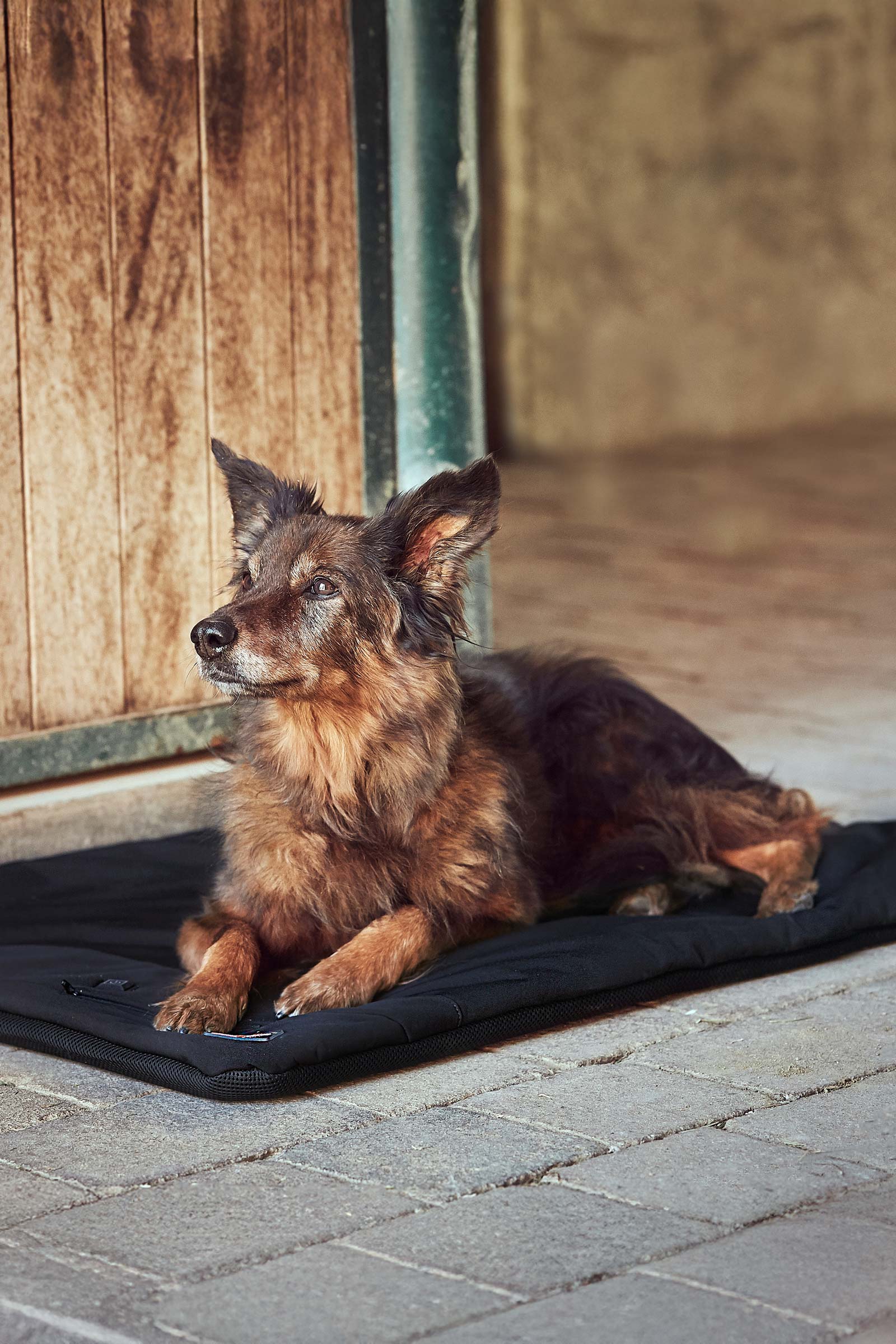 CATAGO FIR-Tech Pro Heatable Dog Pillow