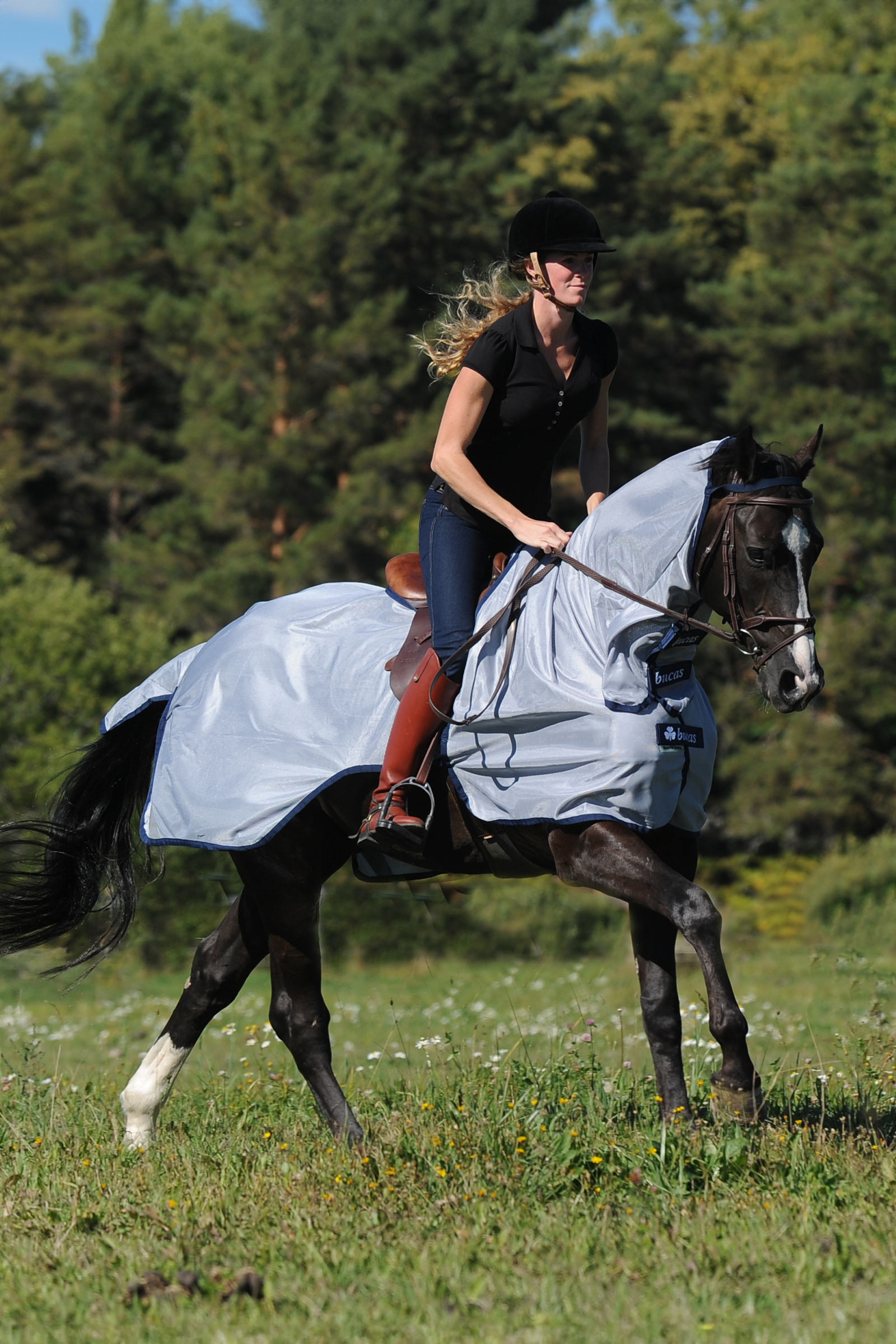 Bucas Buzz-Off Riding Rug