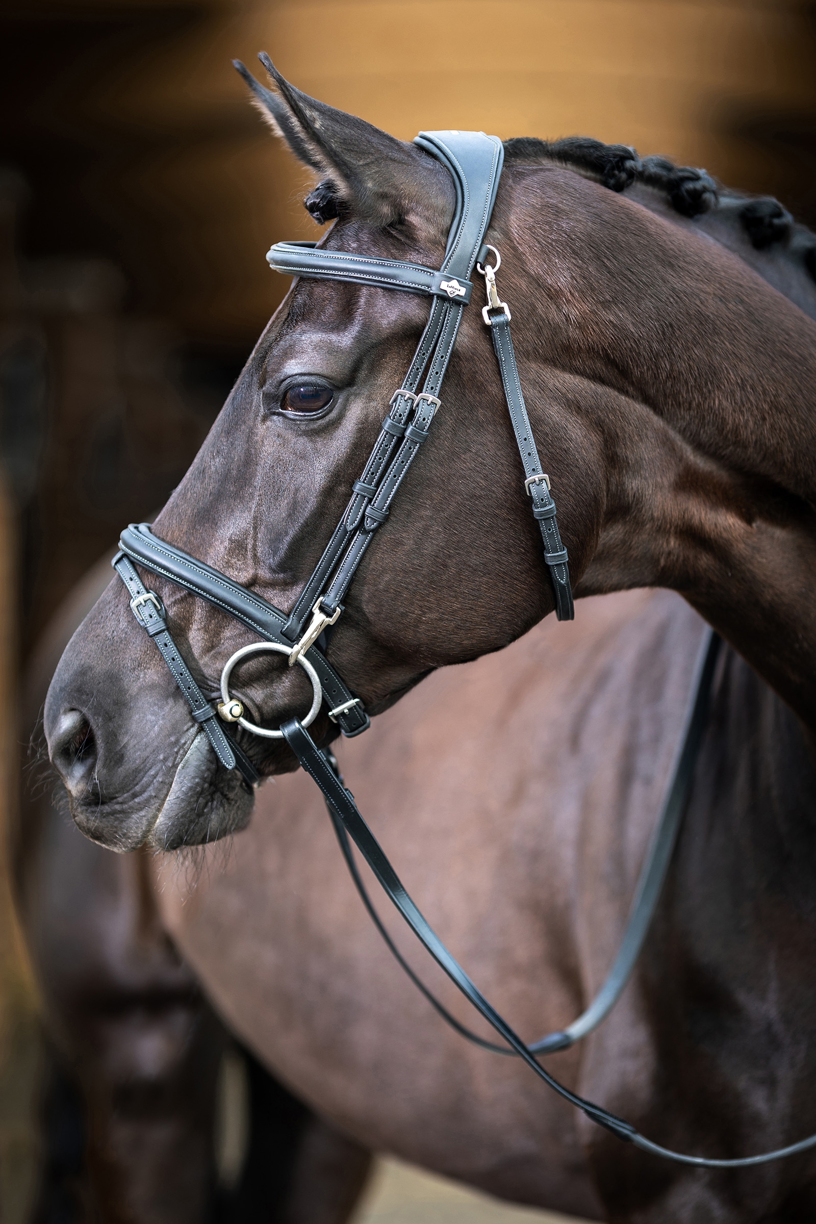 LeMieux Kudos Work Bridle