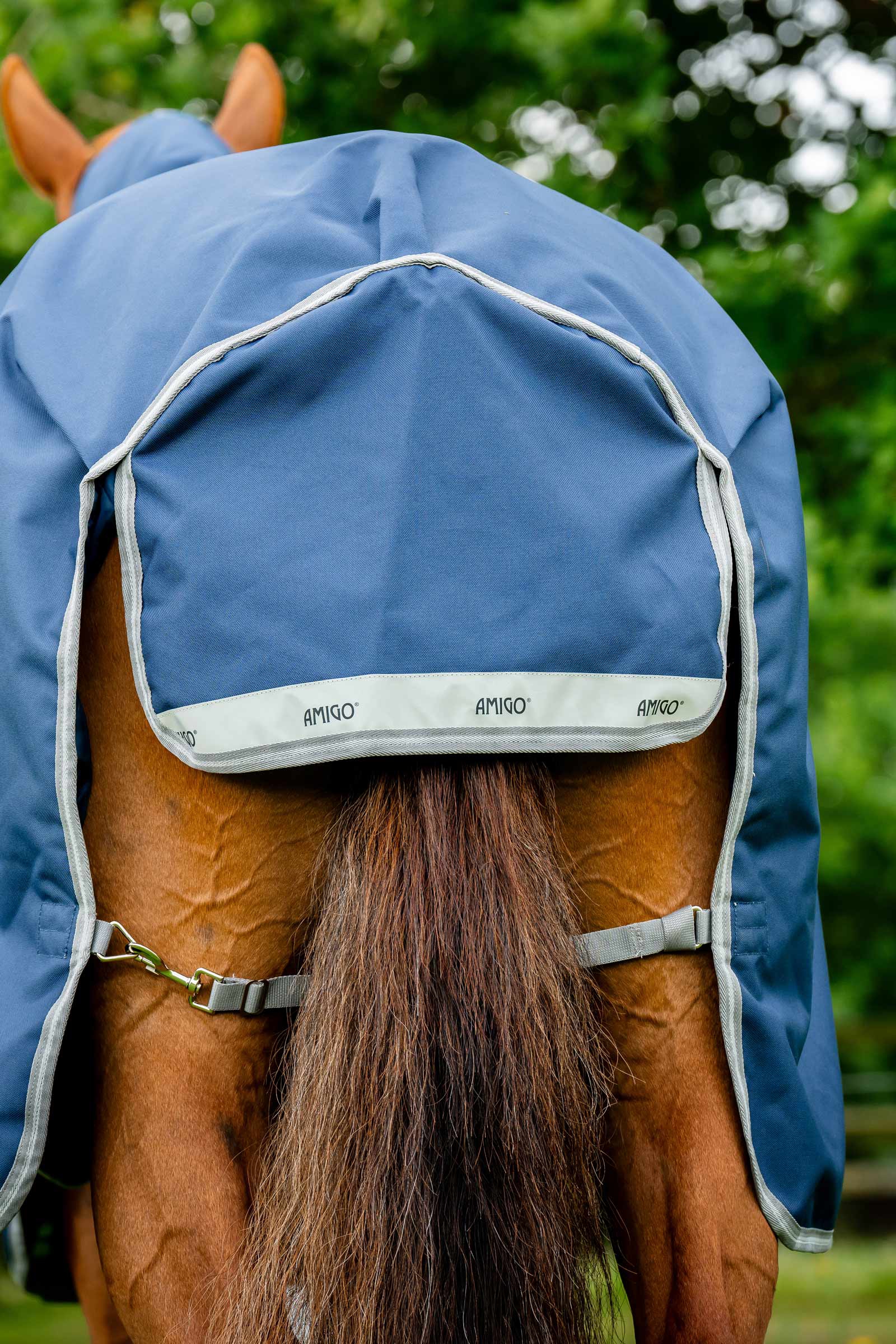 Horseware Amigo Bravo 12 Plus Turnout Rug With Detachable Neck, 0g