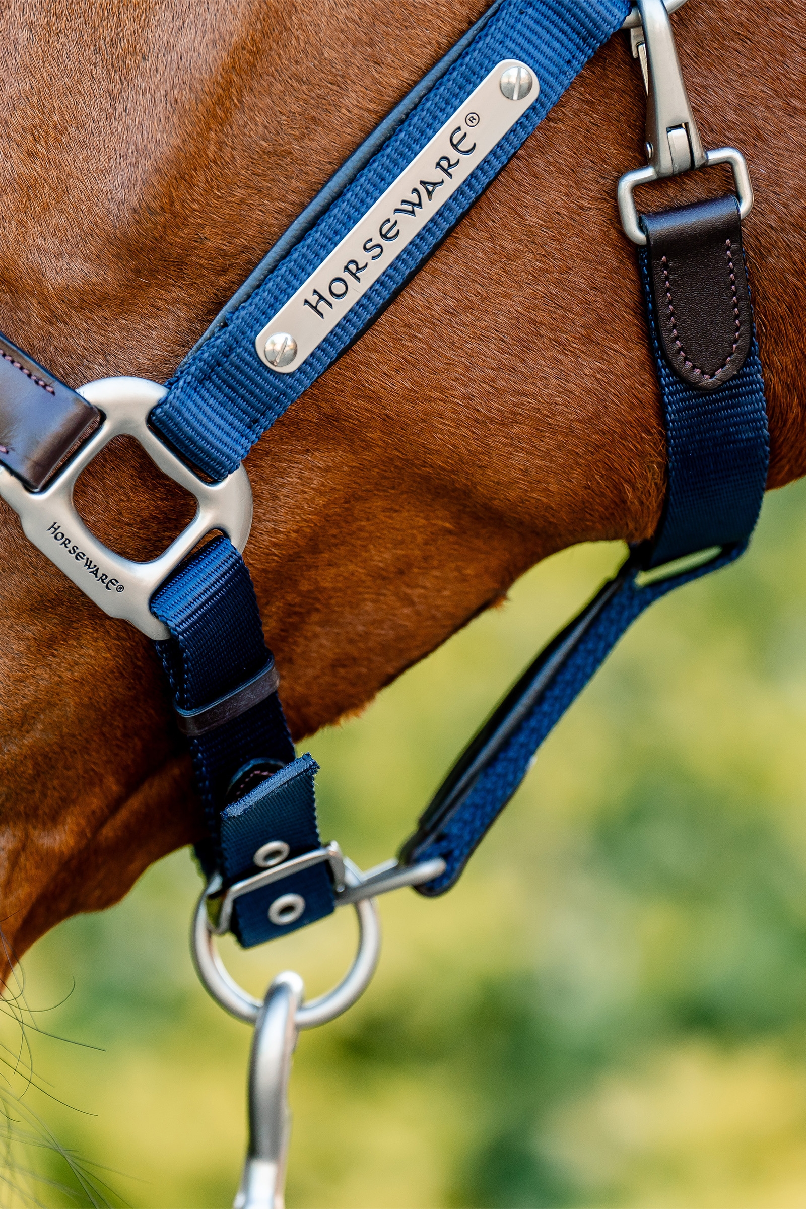 Horseware Signature Competition Headcollar