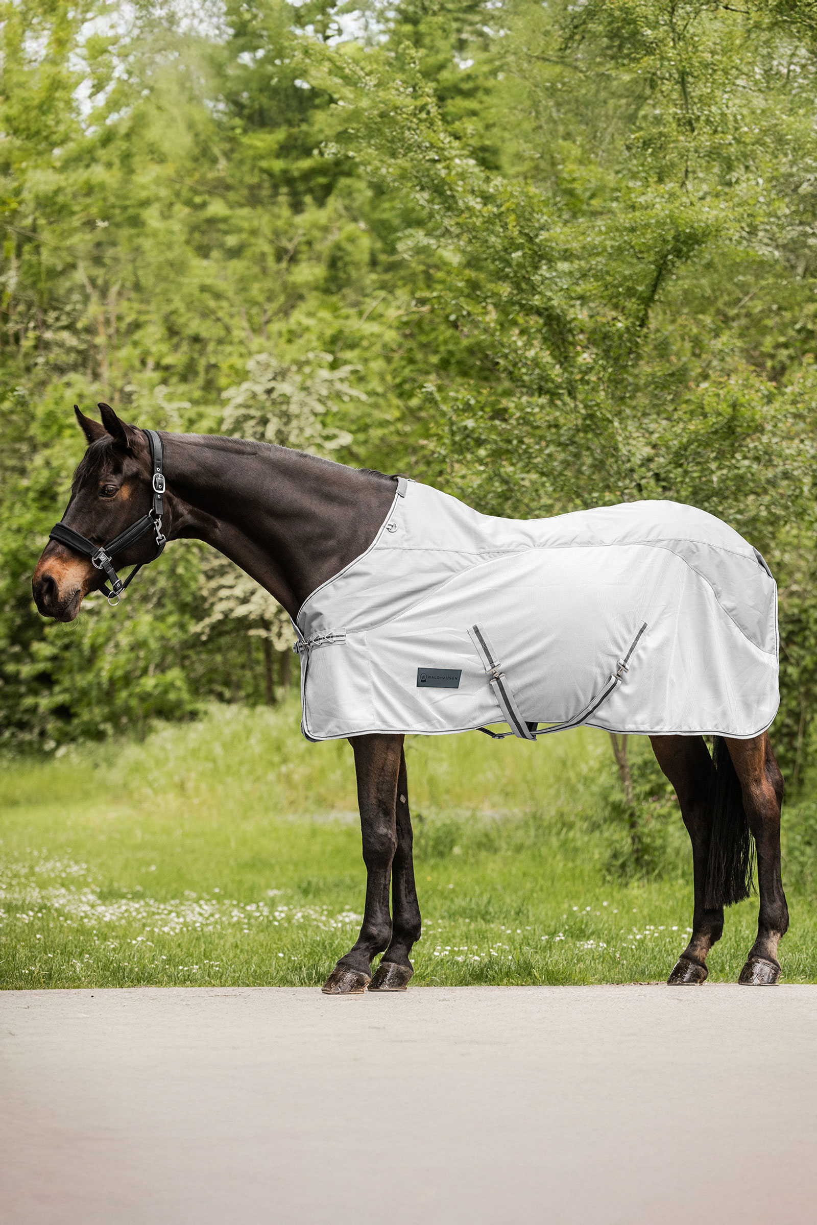 Waldhausen Protect Rain Fly Rug
