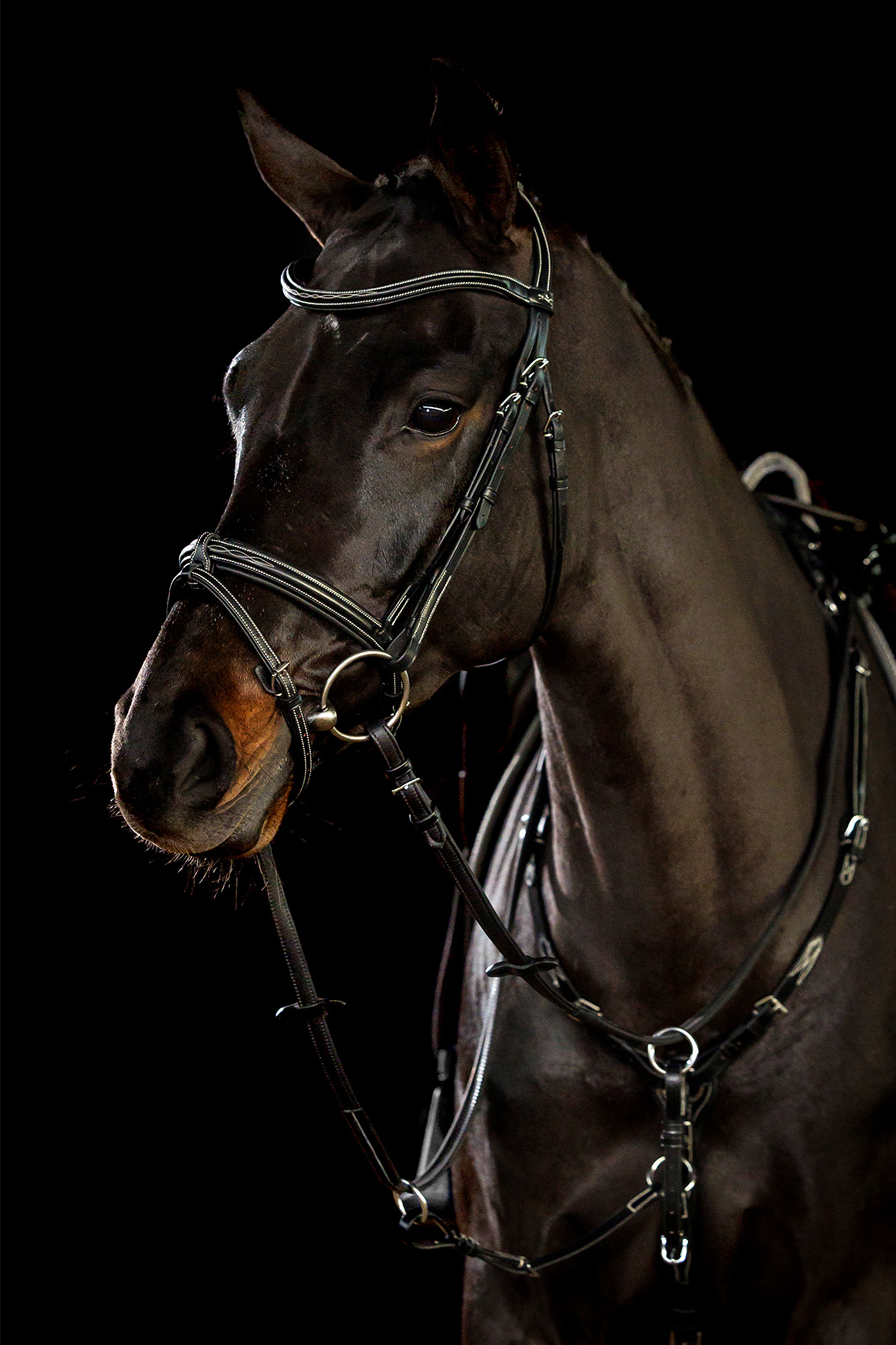 Schockem&ouml;hle Sports Tokyo F Select Bridle