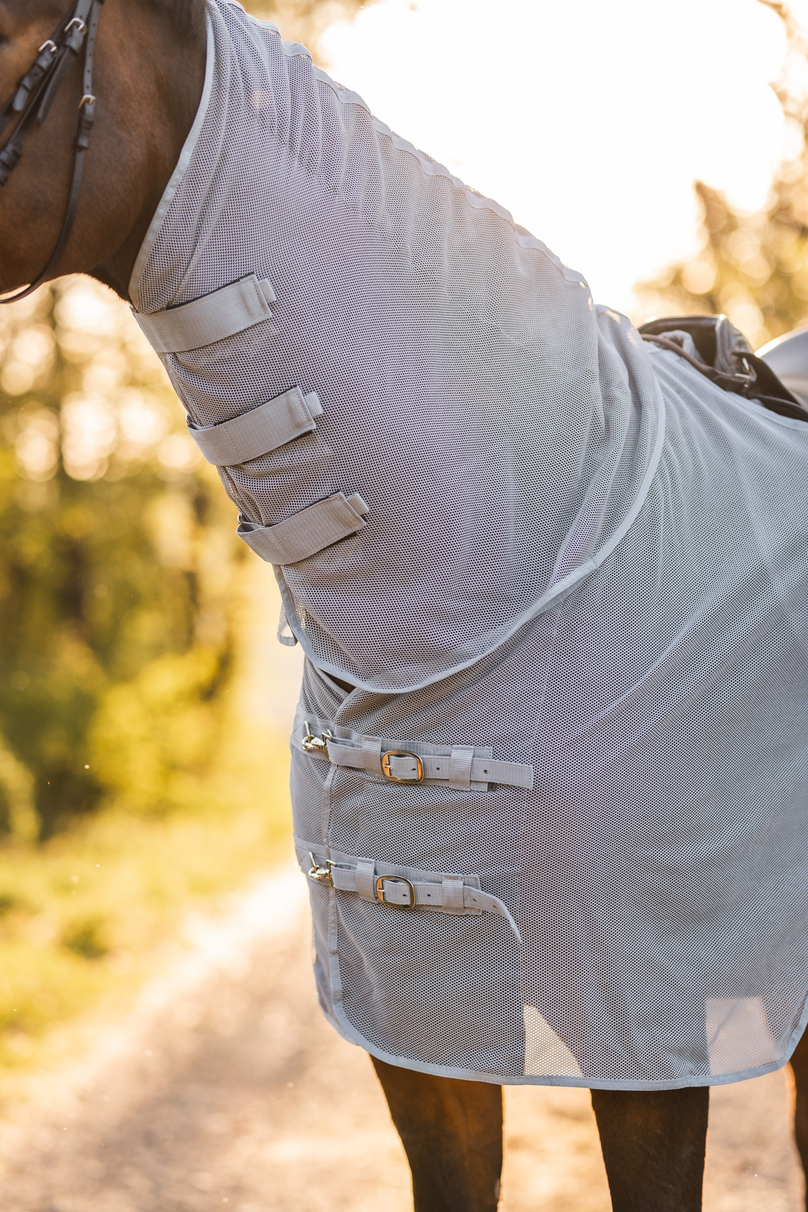 Horze Orleans Fly Riding Rug