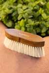 LeMieux Artisan Soft Finishing Brush