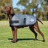 Weatherbeeta Comfitec Classic Dogcoat (45-80cm)
