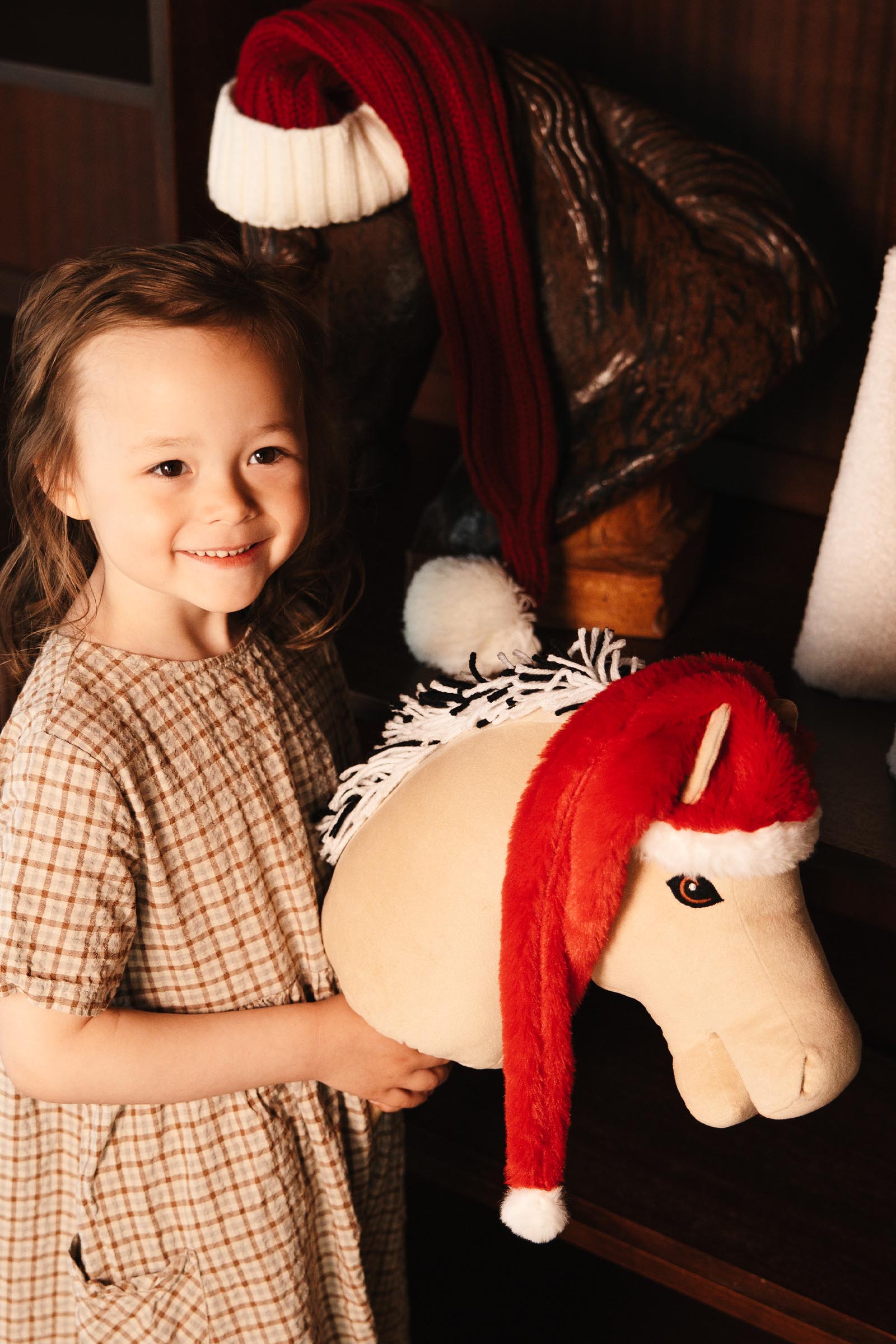 My Hobby Horse Santa Hat