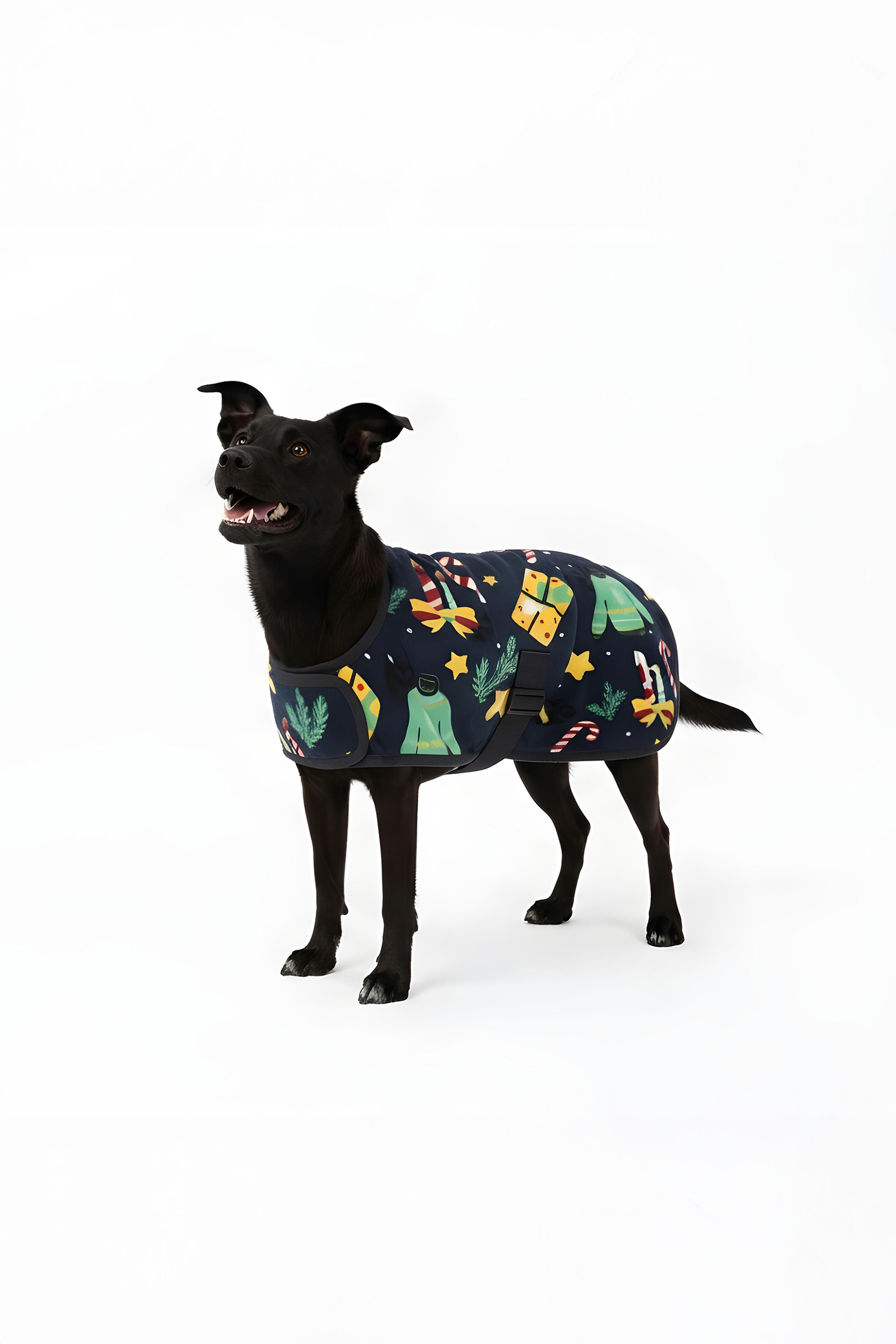 Horze Christmas dog sweater