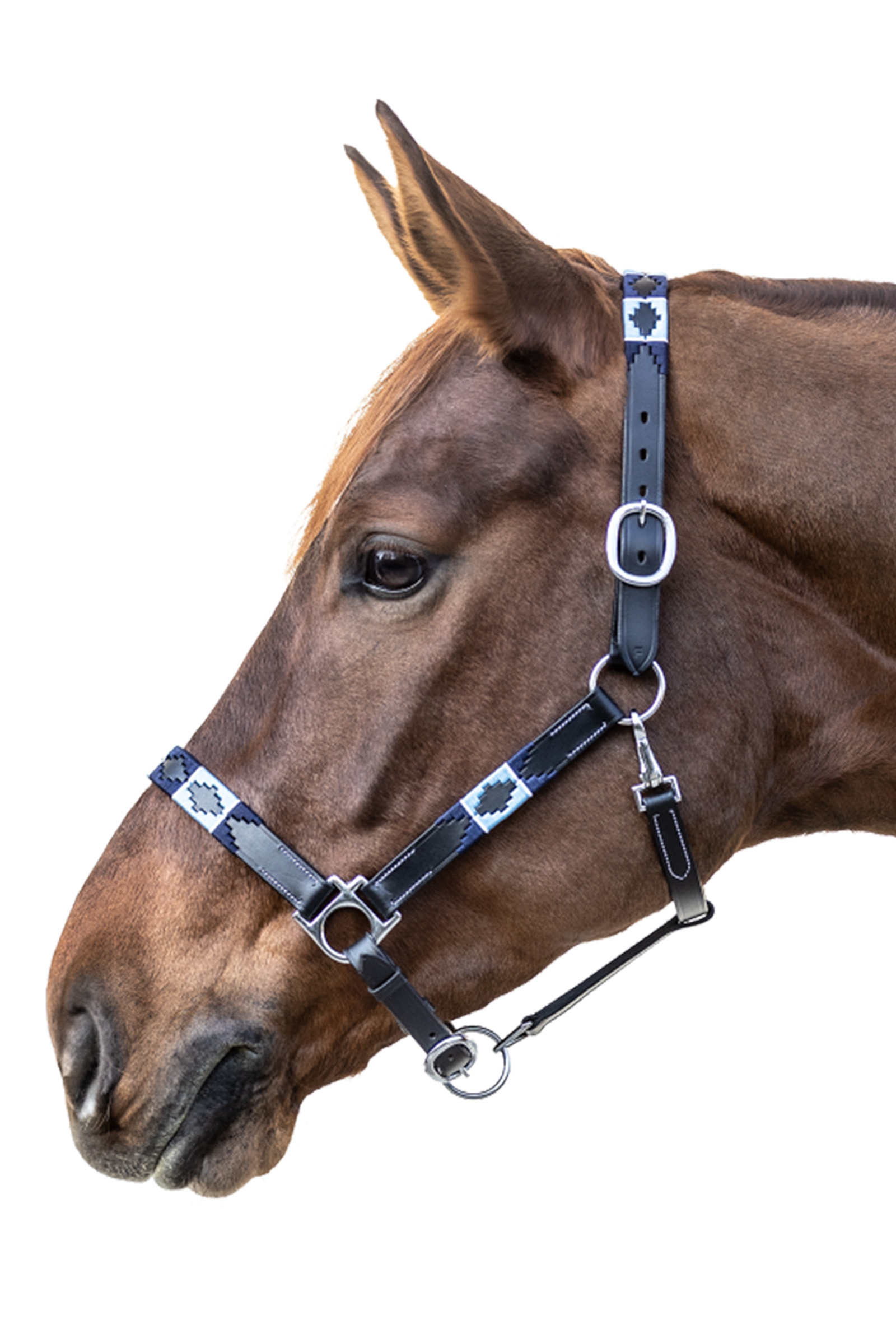 Waldhausen Polo Halter