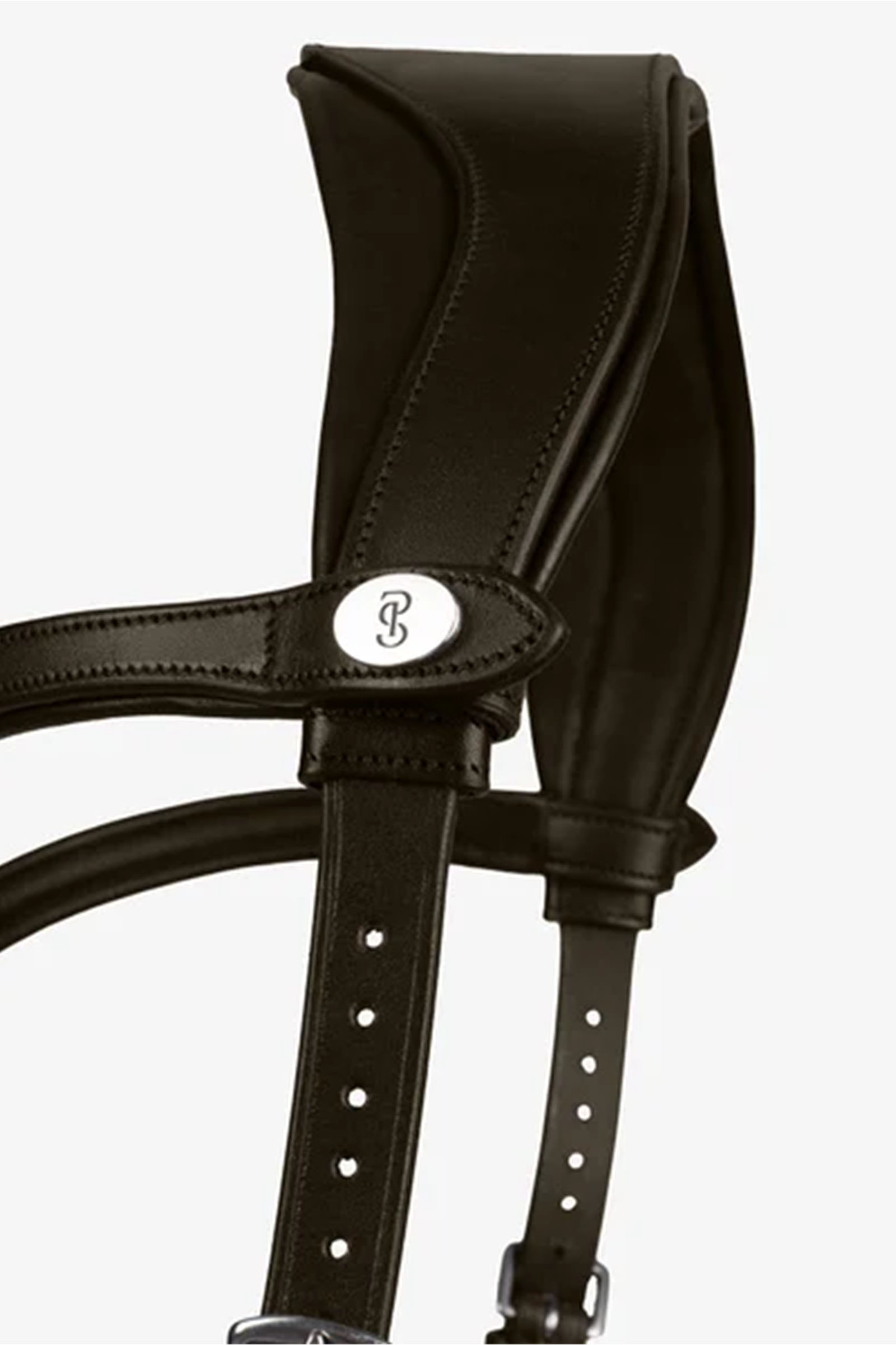 PS of Sweden Bridle King Edward