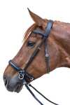 Waldhausen STAR Bitless Bridle