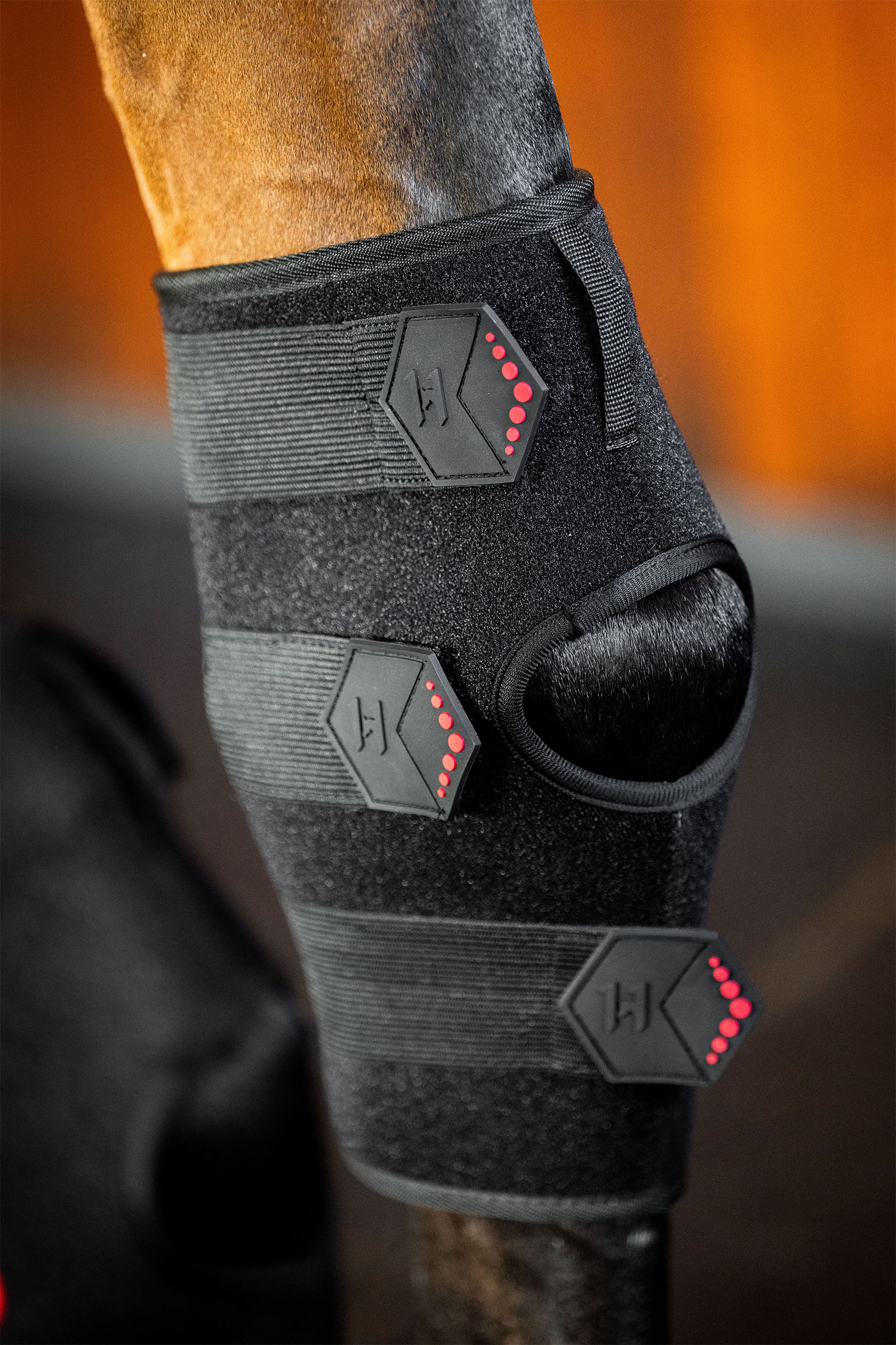 Horseware LED Red Light Therapy Hock Boot (1 pc.)