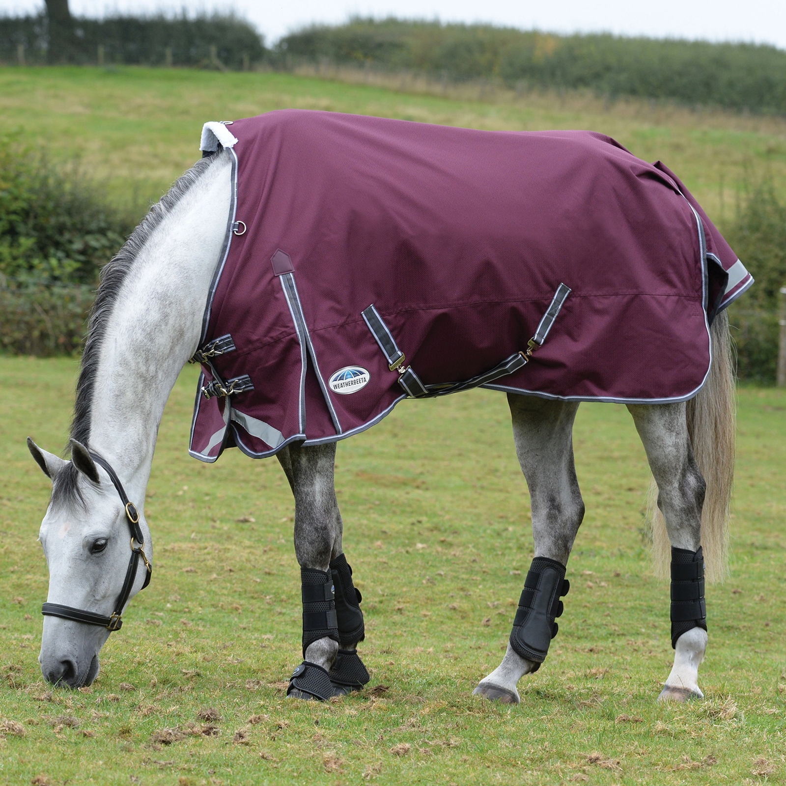 Weatherbeeta Comfitec Plus Dynamic II Turnout Rug, 100g