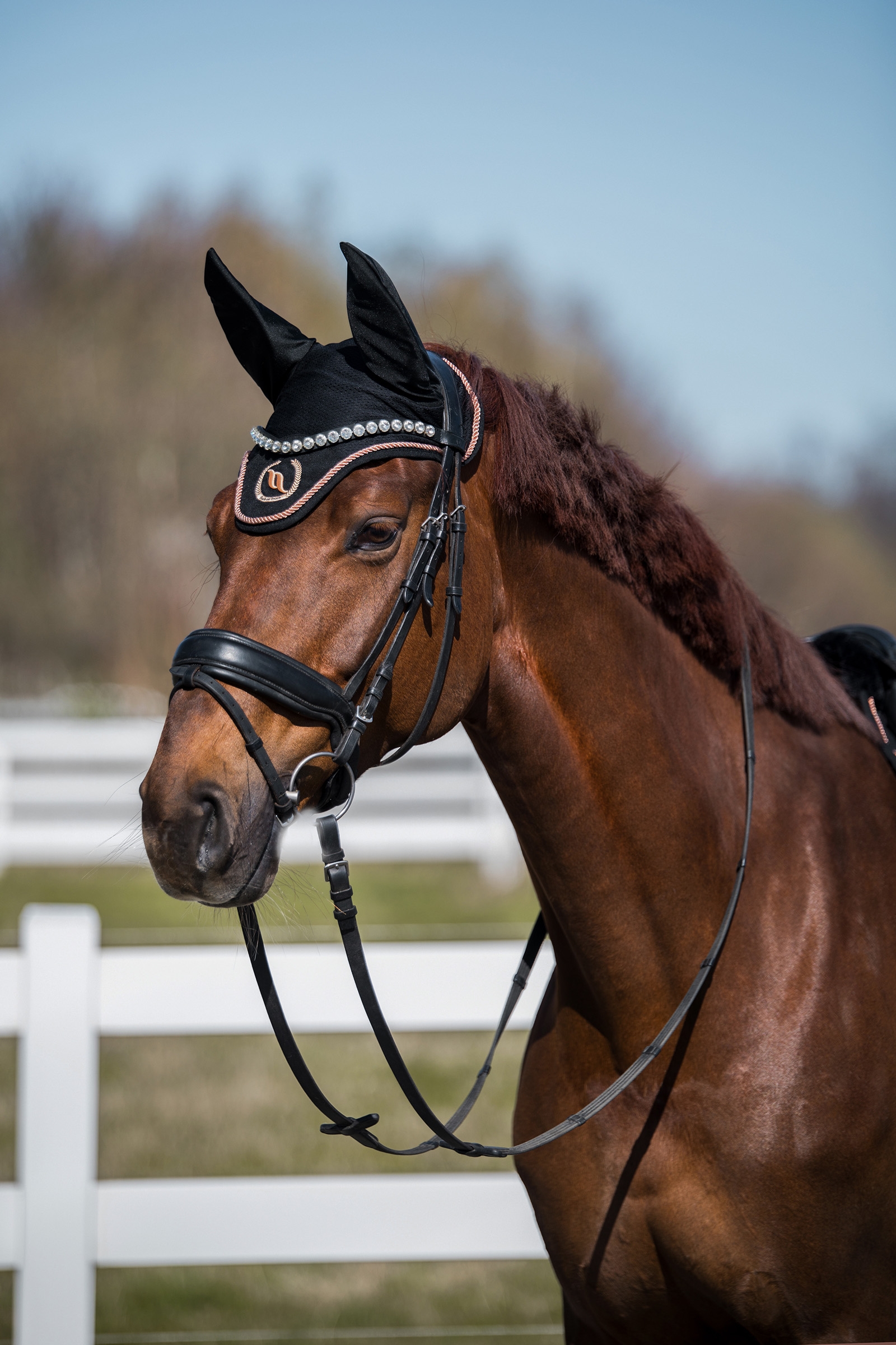 Back on Track Haze Collection Bonnet