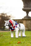 LeMieux Toy Pony Flower Sash