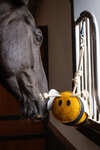 LeMieux Horse Toy Bee