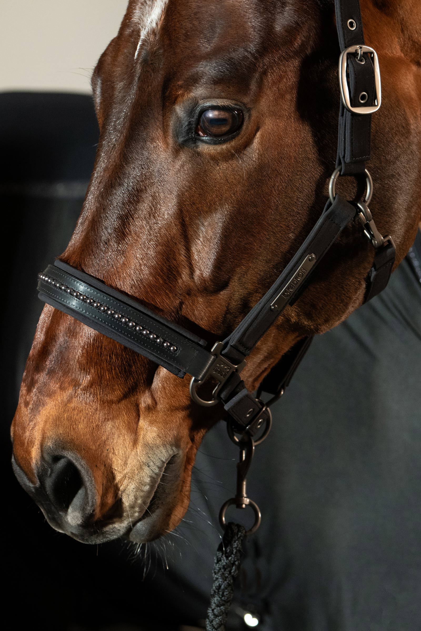Eskadron Platinum 25 Softshell Pearls Double Pin Headcollar