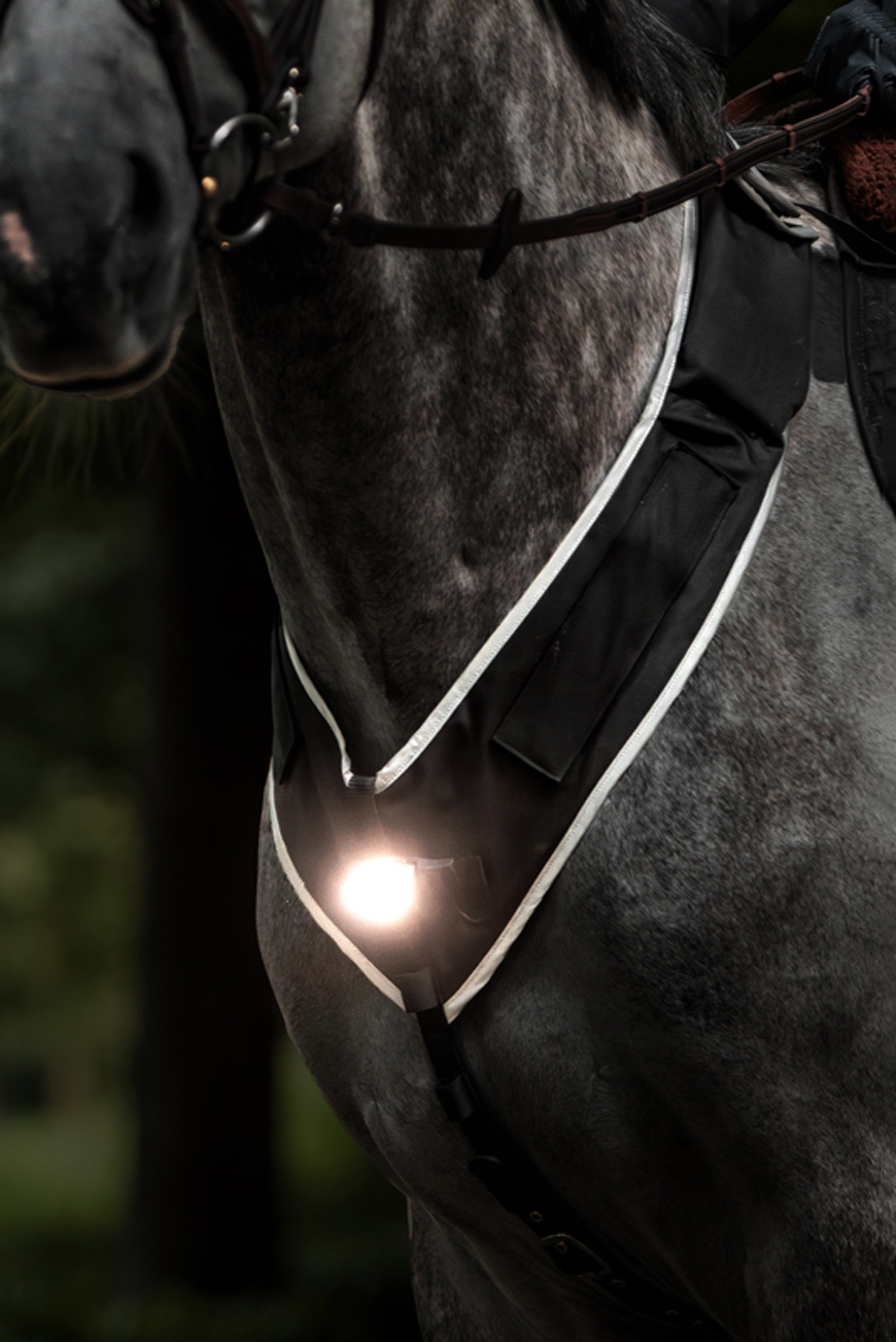 Kavalkade Horselight Breastplate & Saddle Light, Set 1