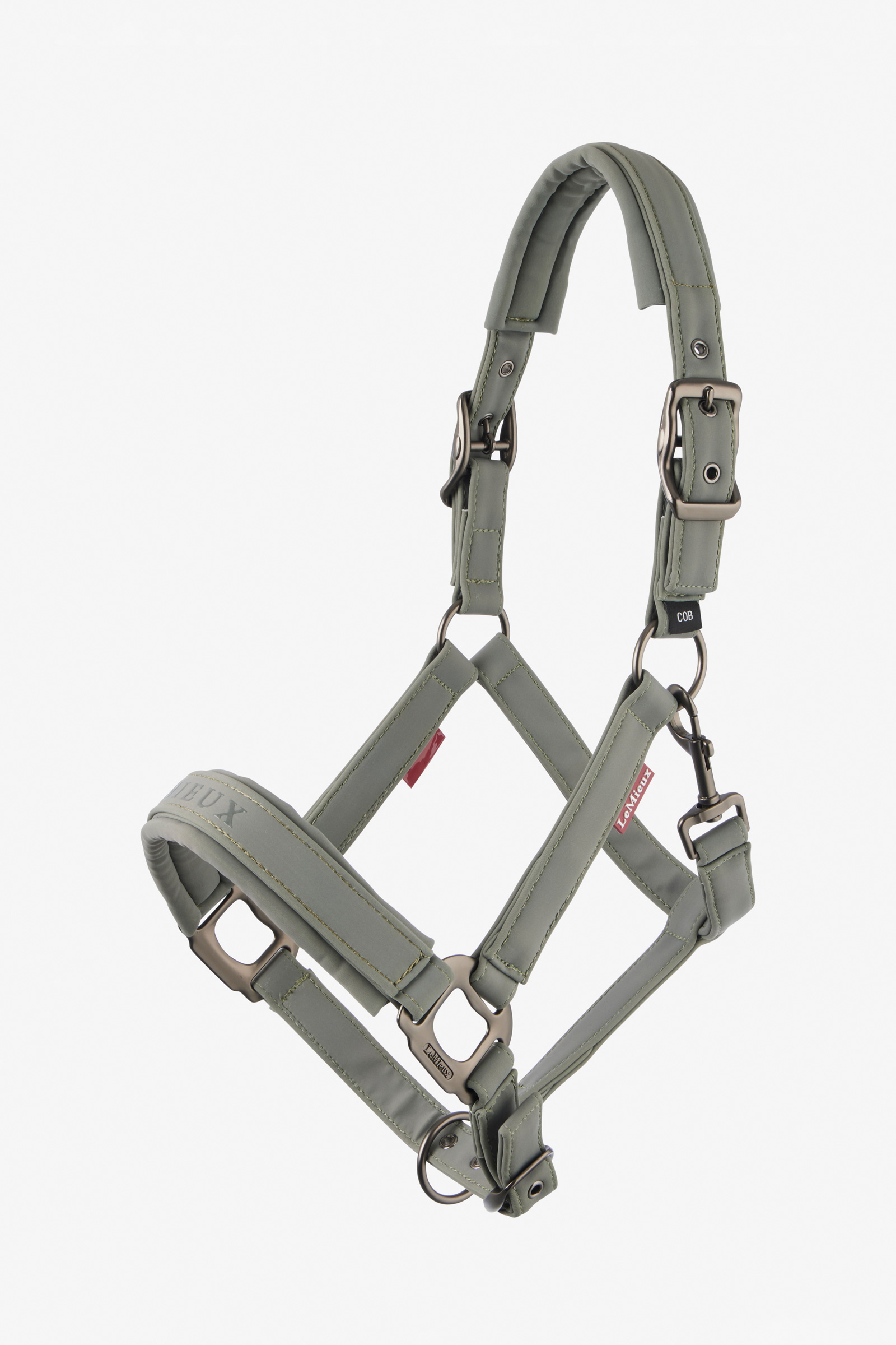 Rosemary LeMieux Essence Headcollar