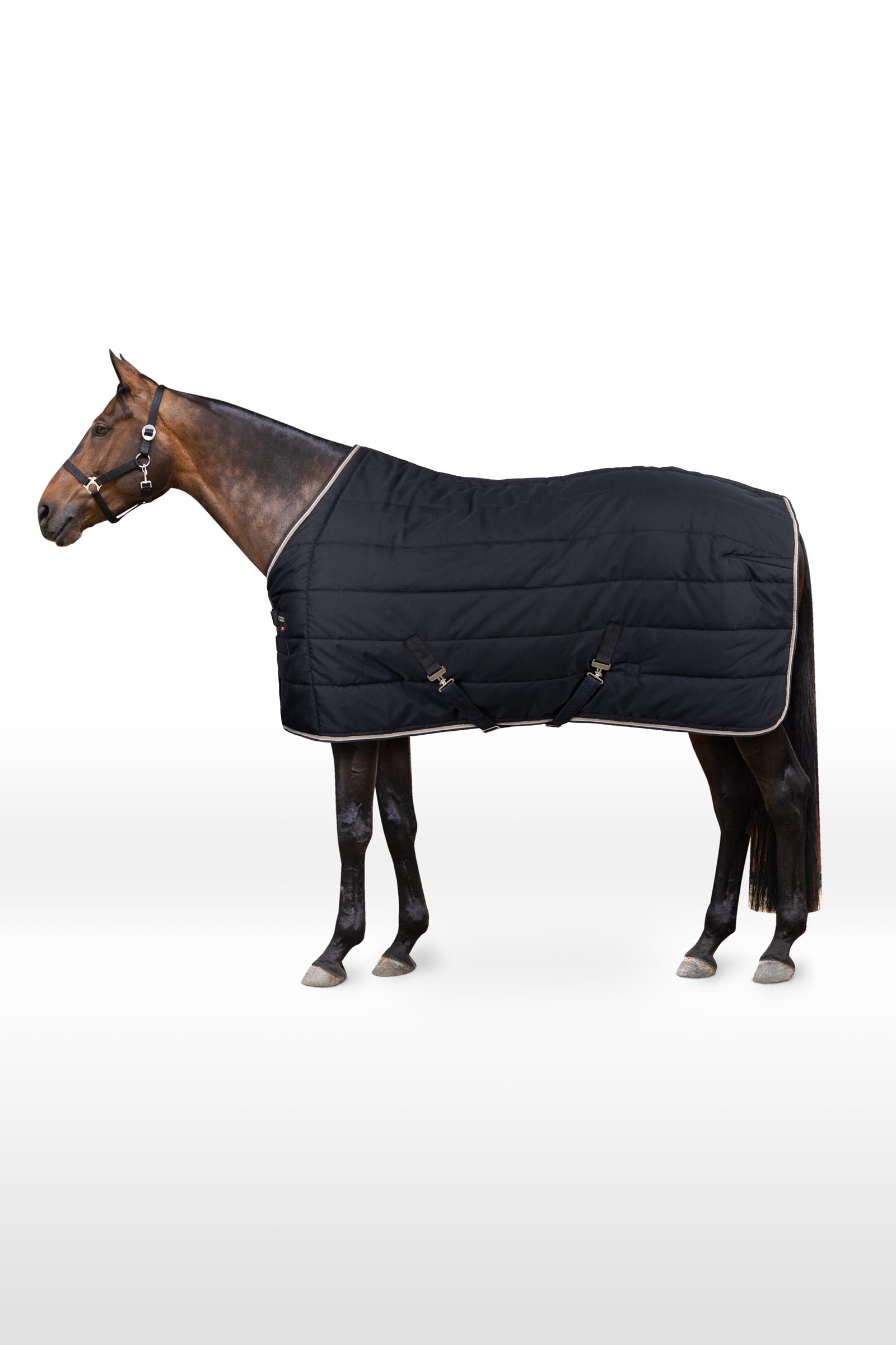 B Vertigo Corey Stable Rug, 250g