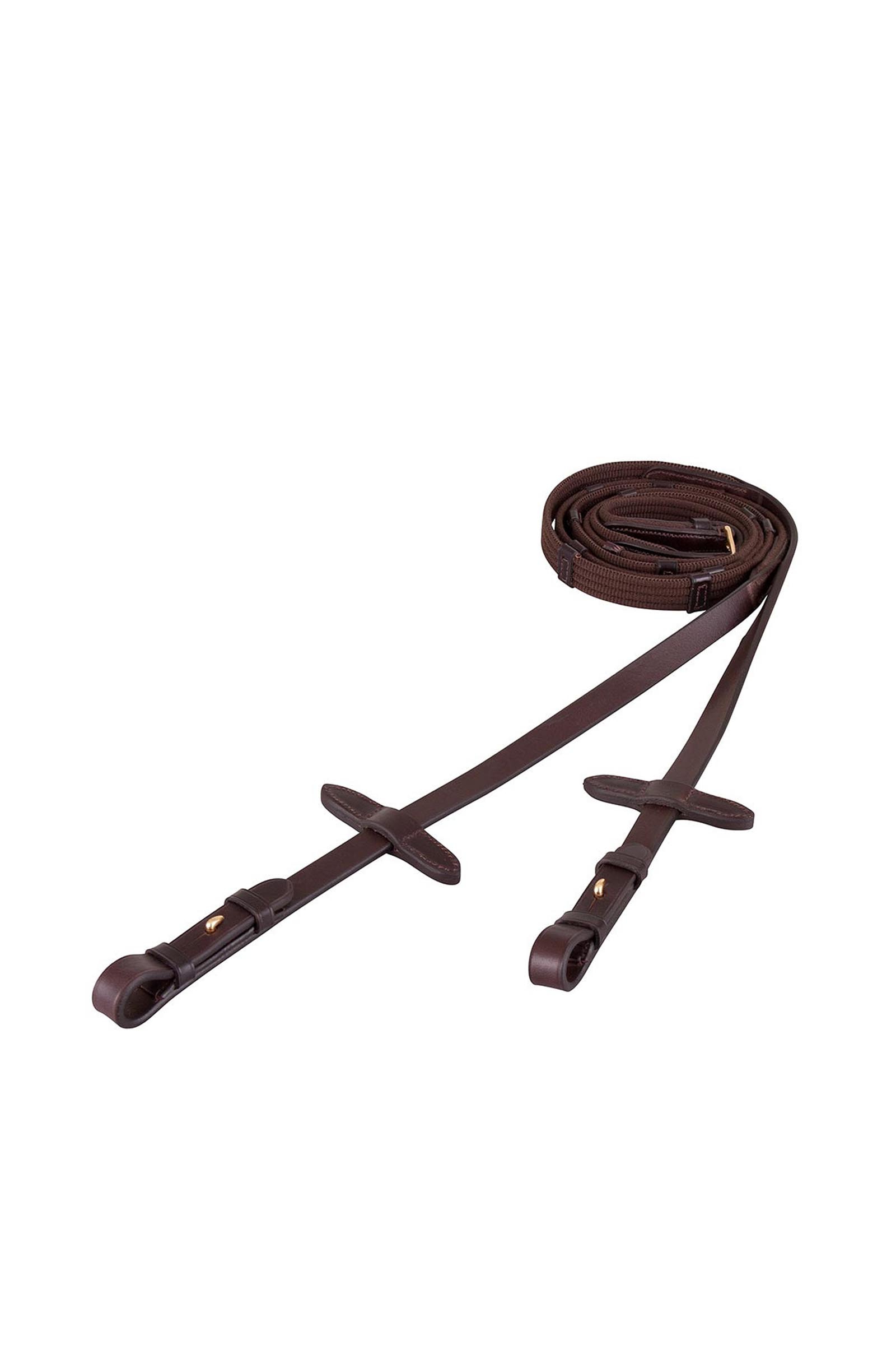 Brown/Gold BR Web Reins