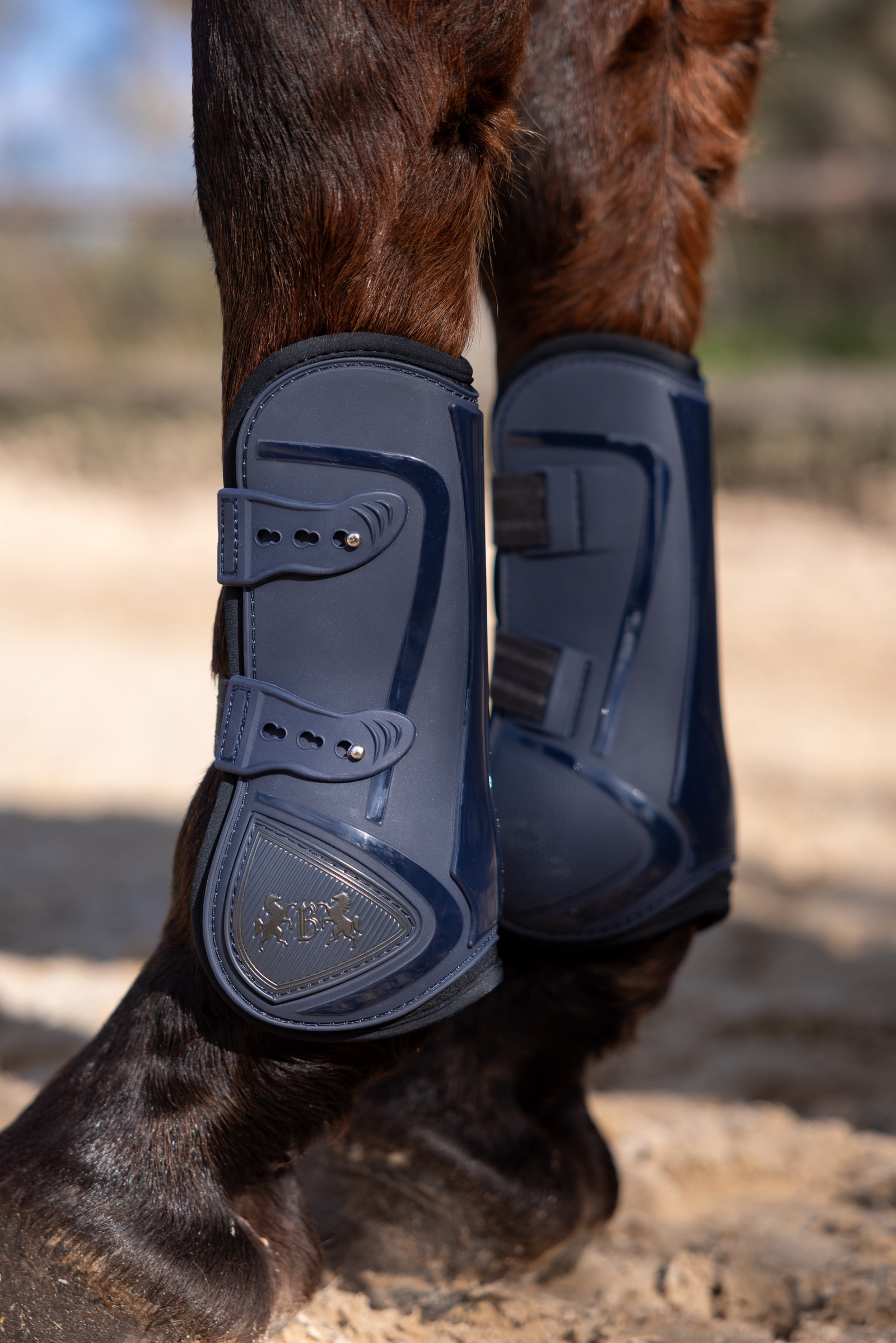 B Vertigo Ocala Tendon Boots