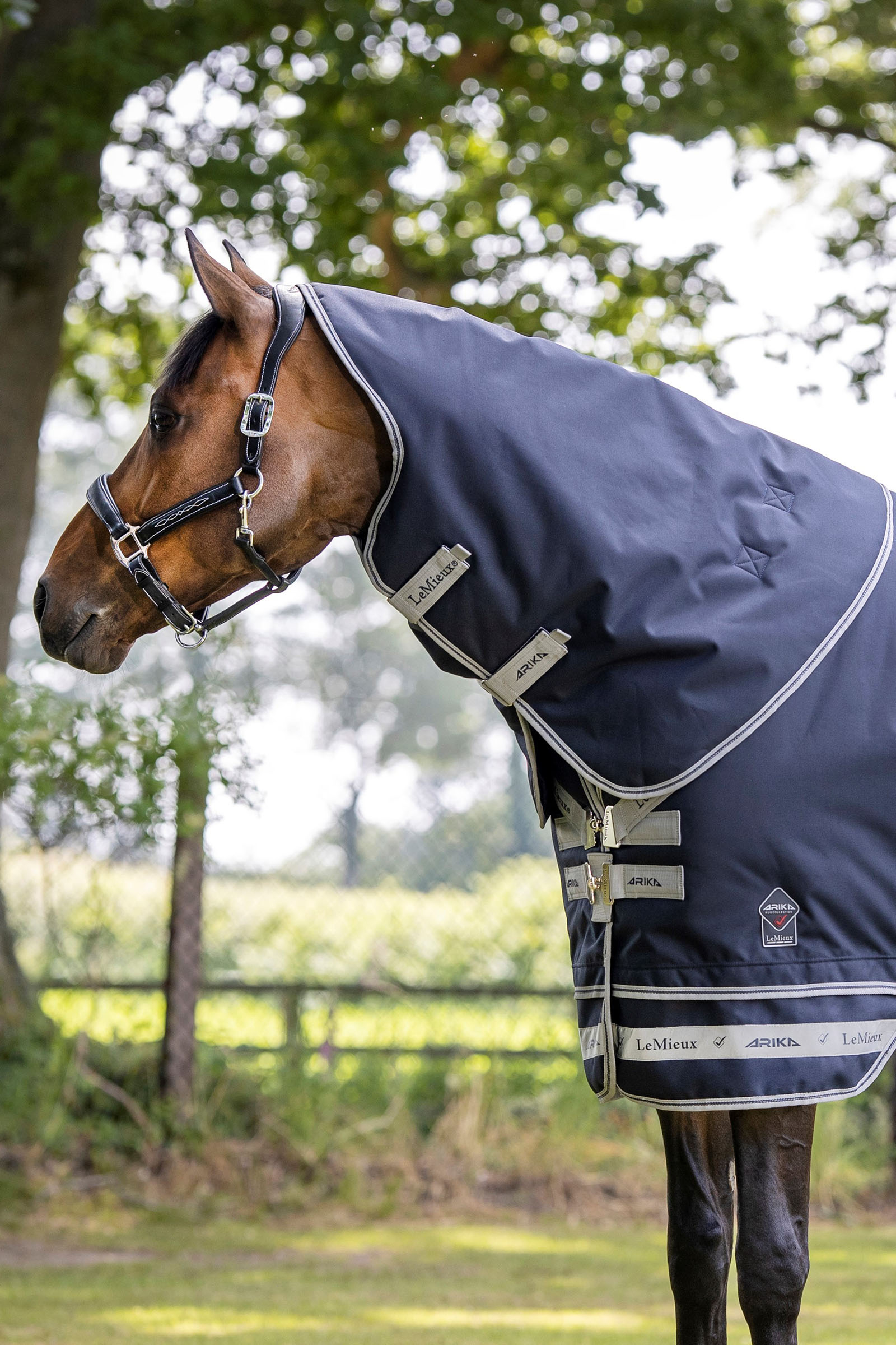 LeMieux Arika Storm-Tek Rug, 50 g