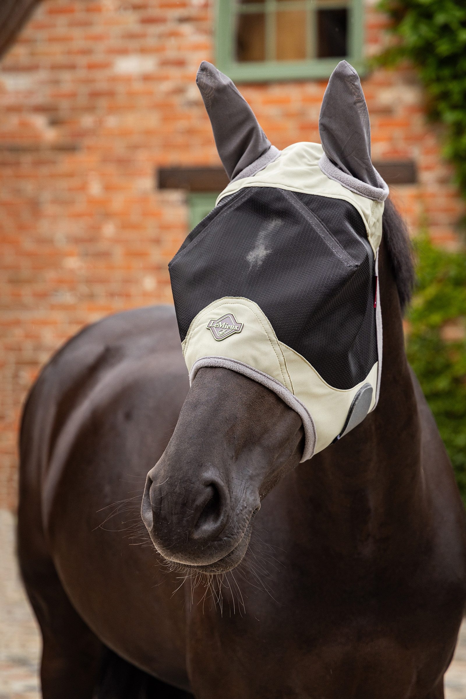 LeMieux Visor-Tek Half Fly Mask