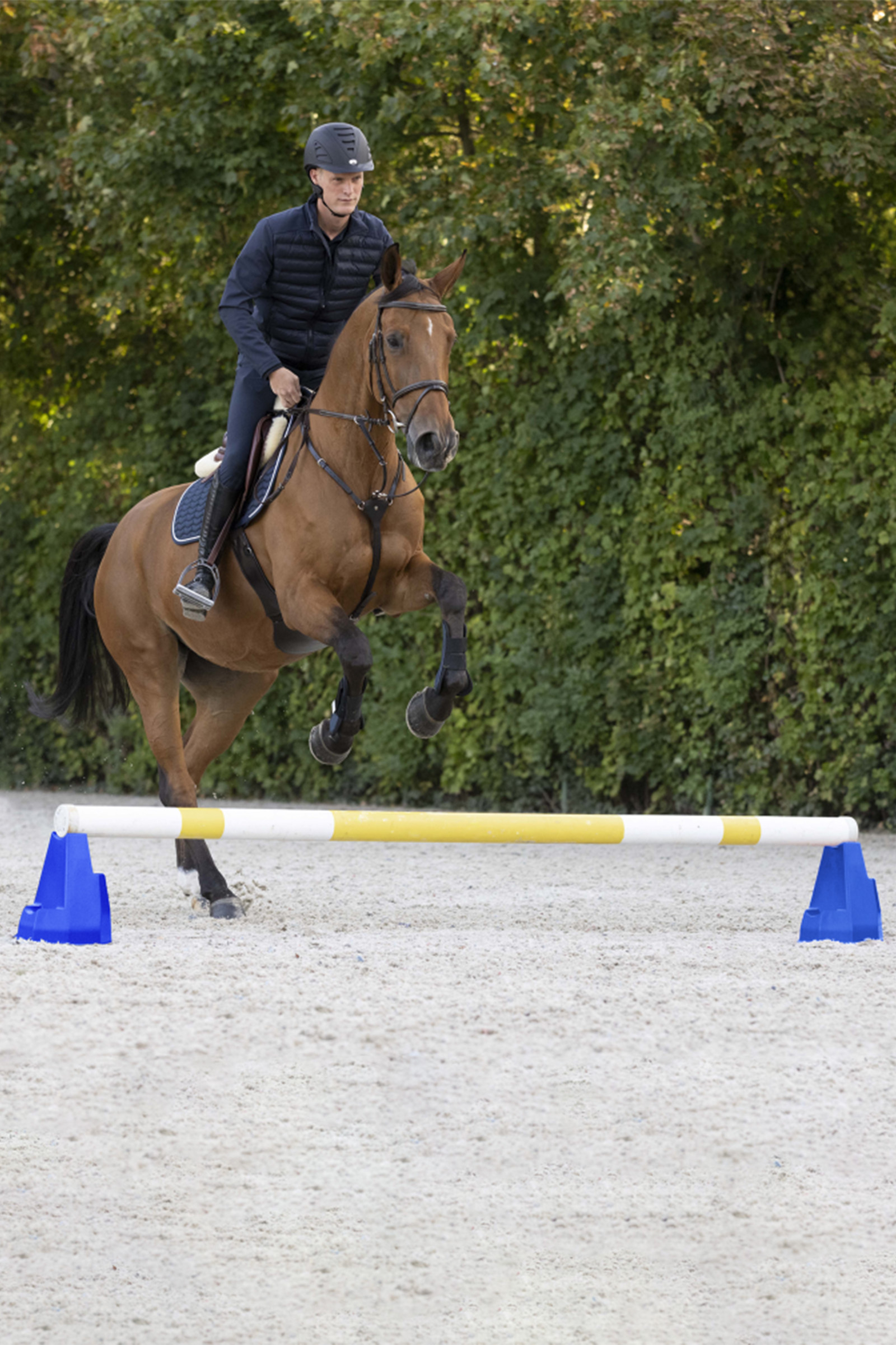 Waldhausen Cavaletti Block