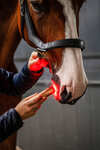 Horseware LED Red Light Therapy Wand