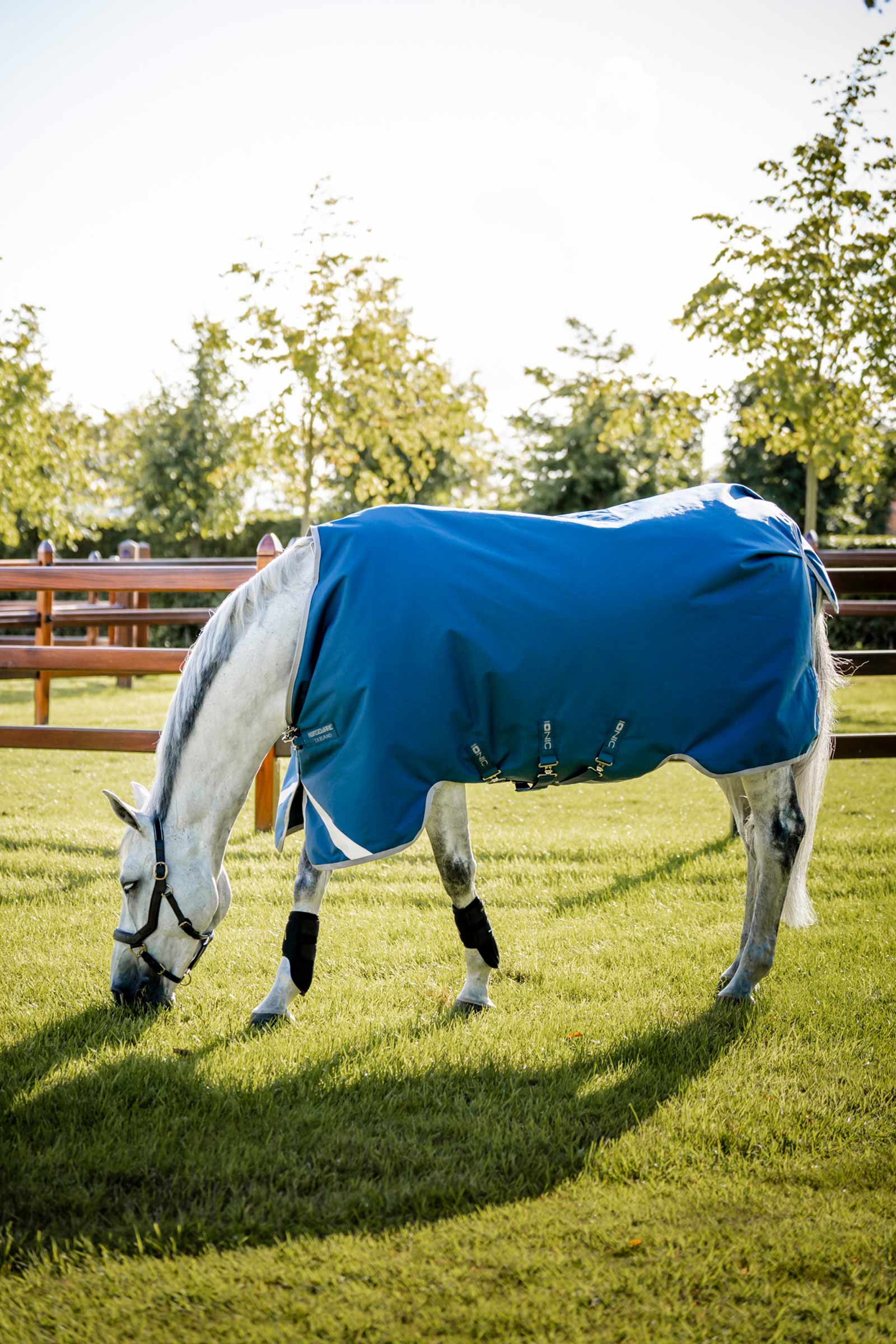 Horseware Ionic Therapy Turnout Rug, 100g