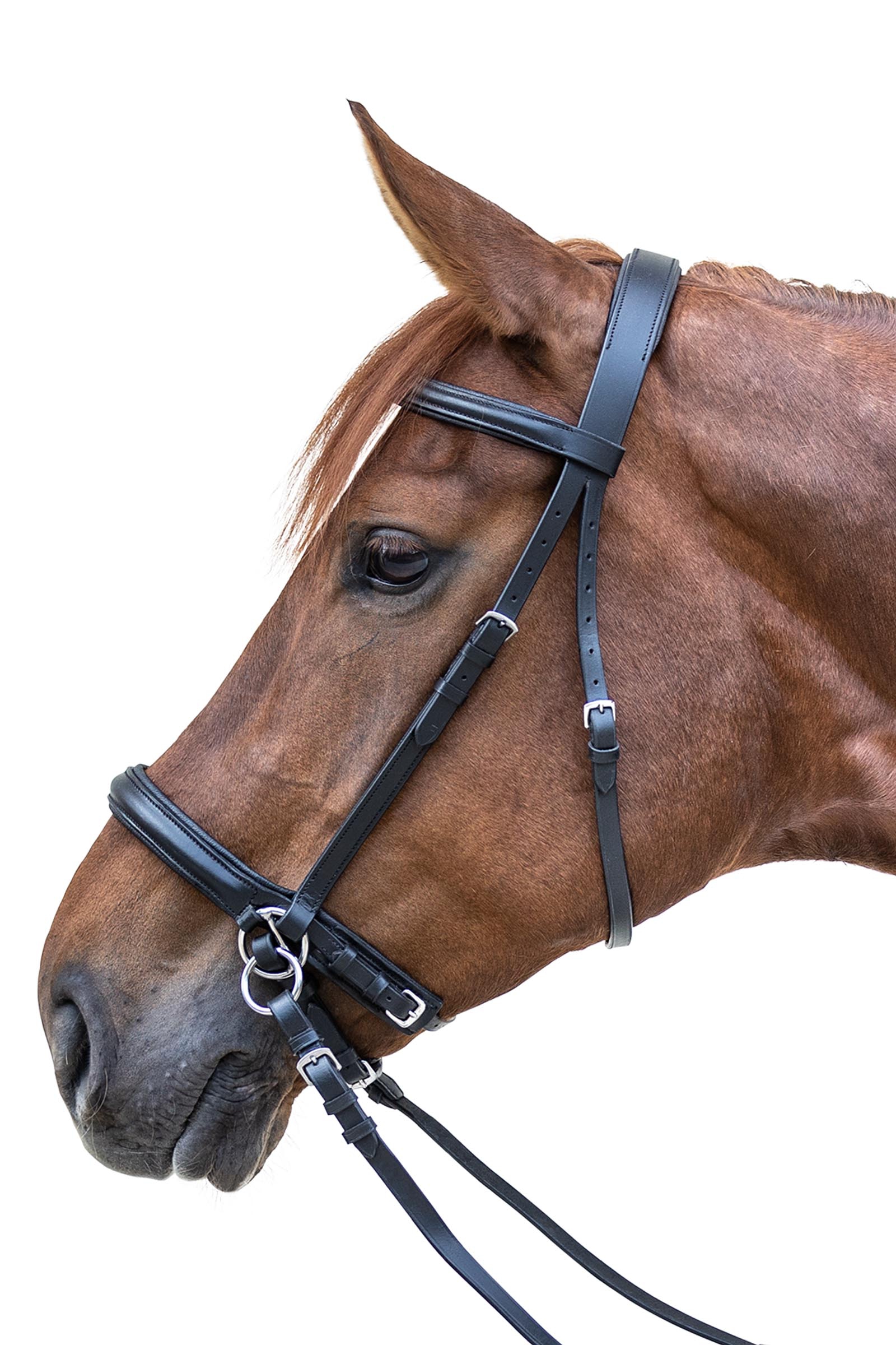 Waldhausen STAR Bitless Bridle