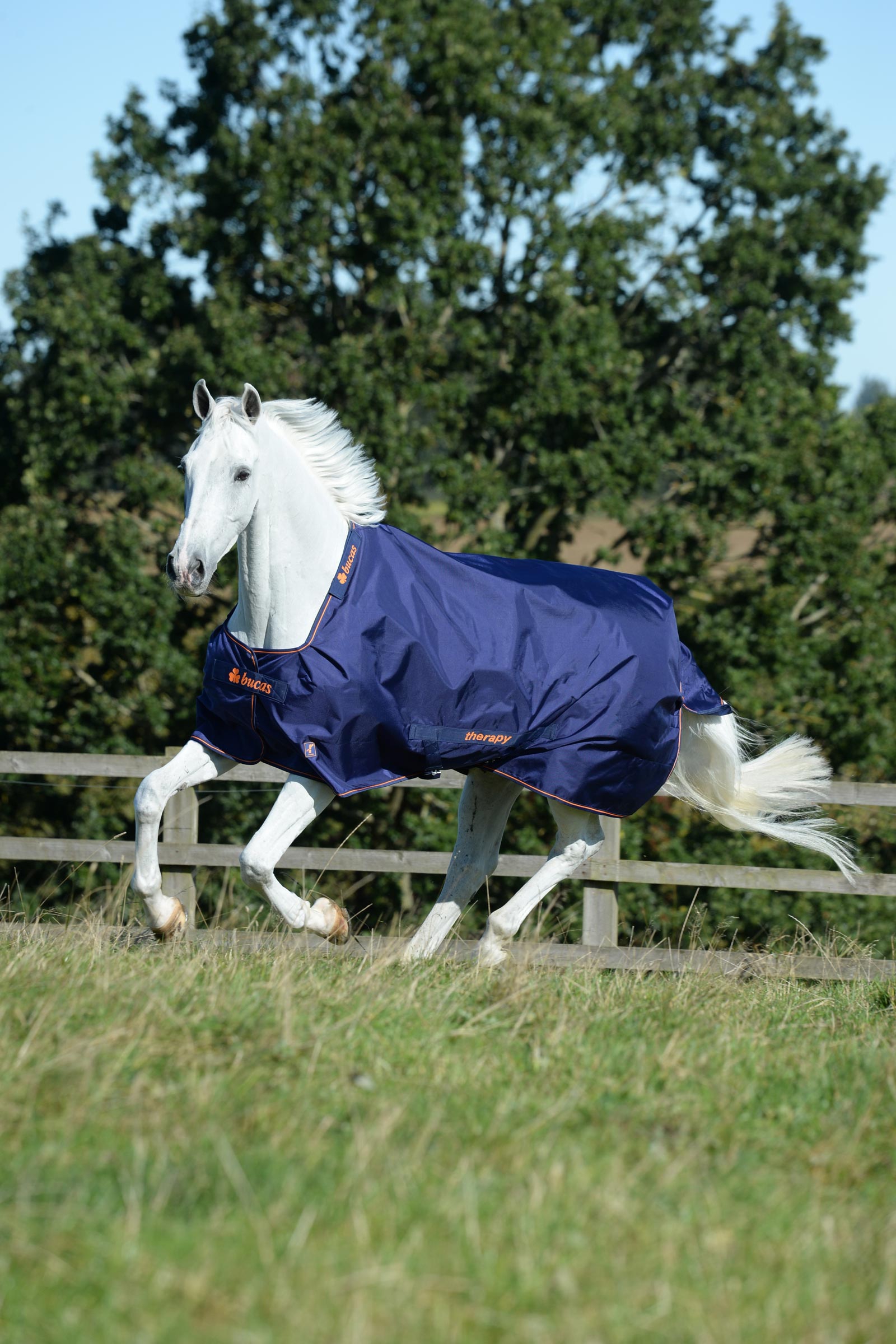 Bucas Therapy Turnout Rug, 150g