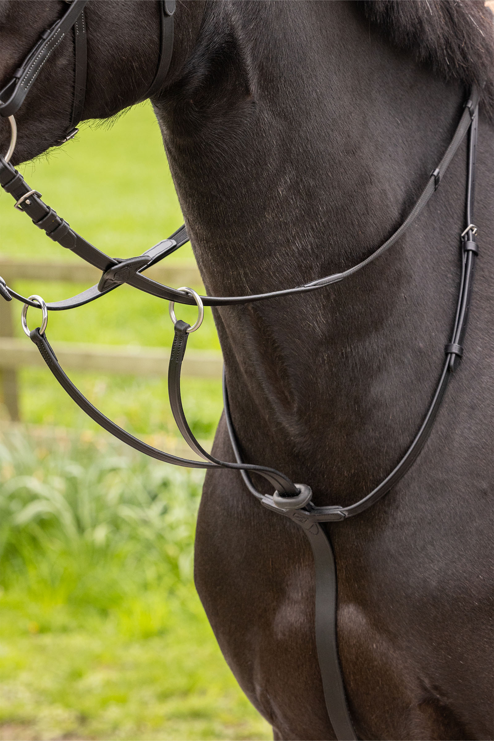 LeMieux Arika Running Martingale
