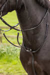 LeMieux Arika Running Martingale