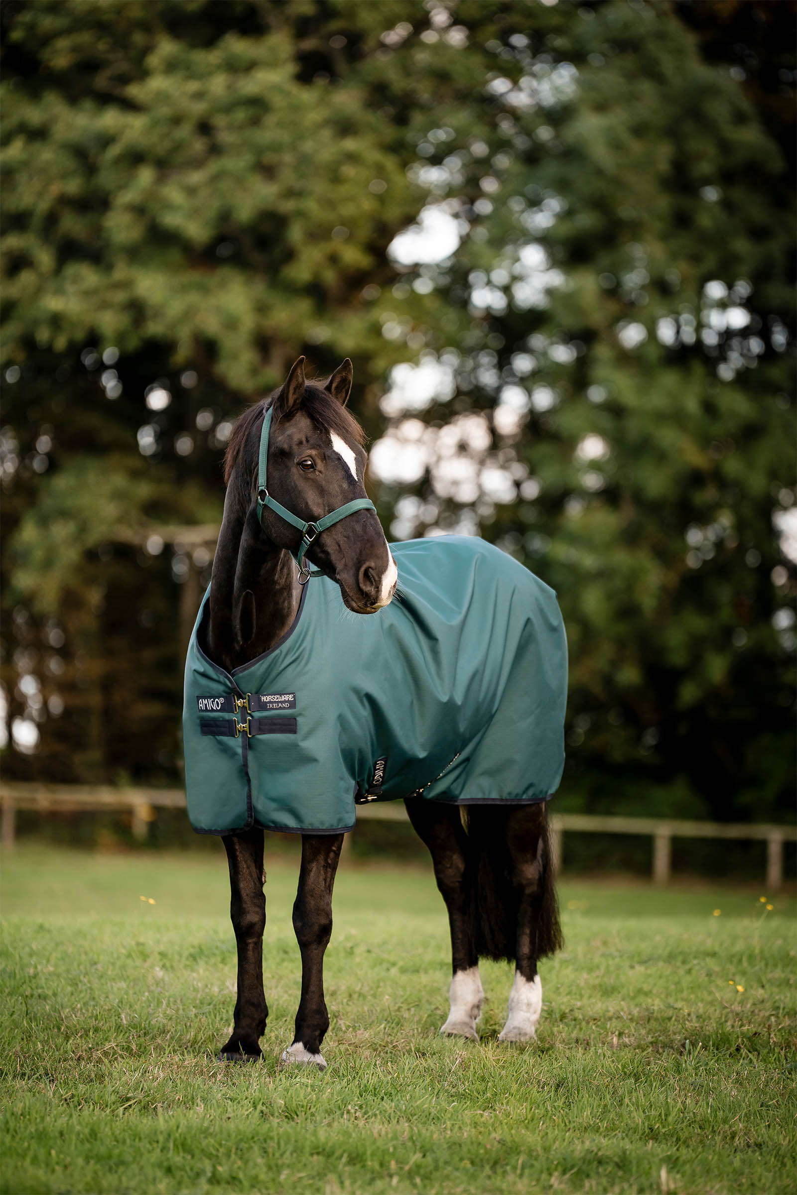 Dynasty Green/Navy/Silver Horseware Amigo Ripstop Turnout Rug 900D, 50g