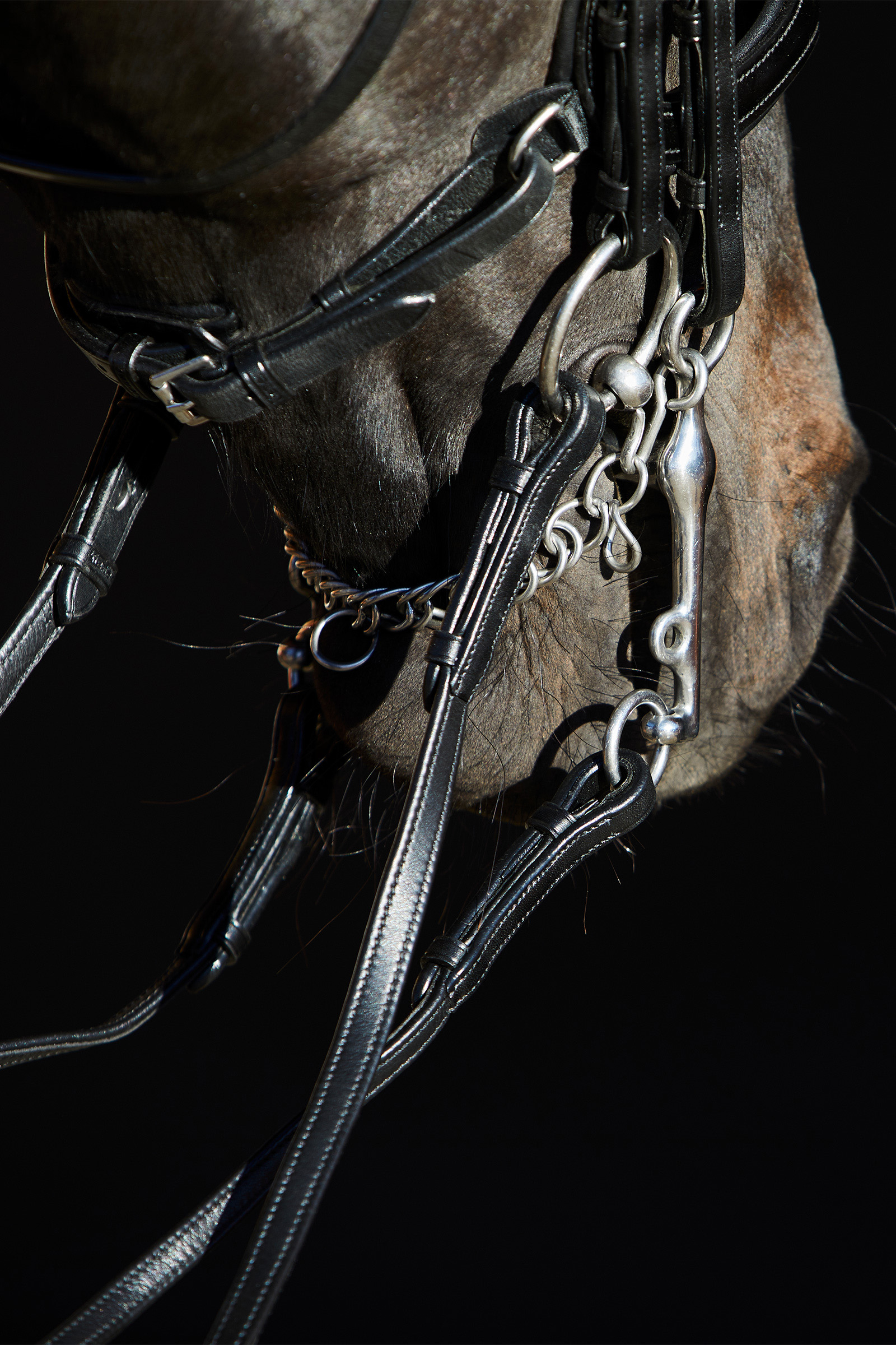 Kieffer Ultrasoft® Amy Double Bridle