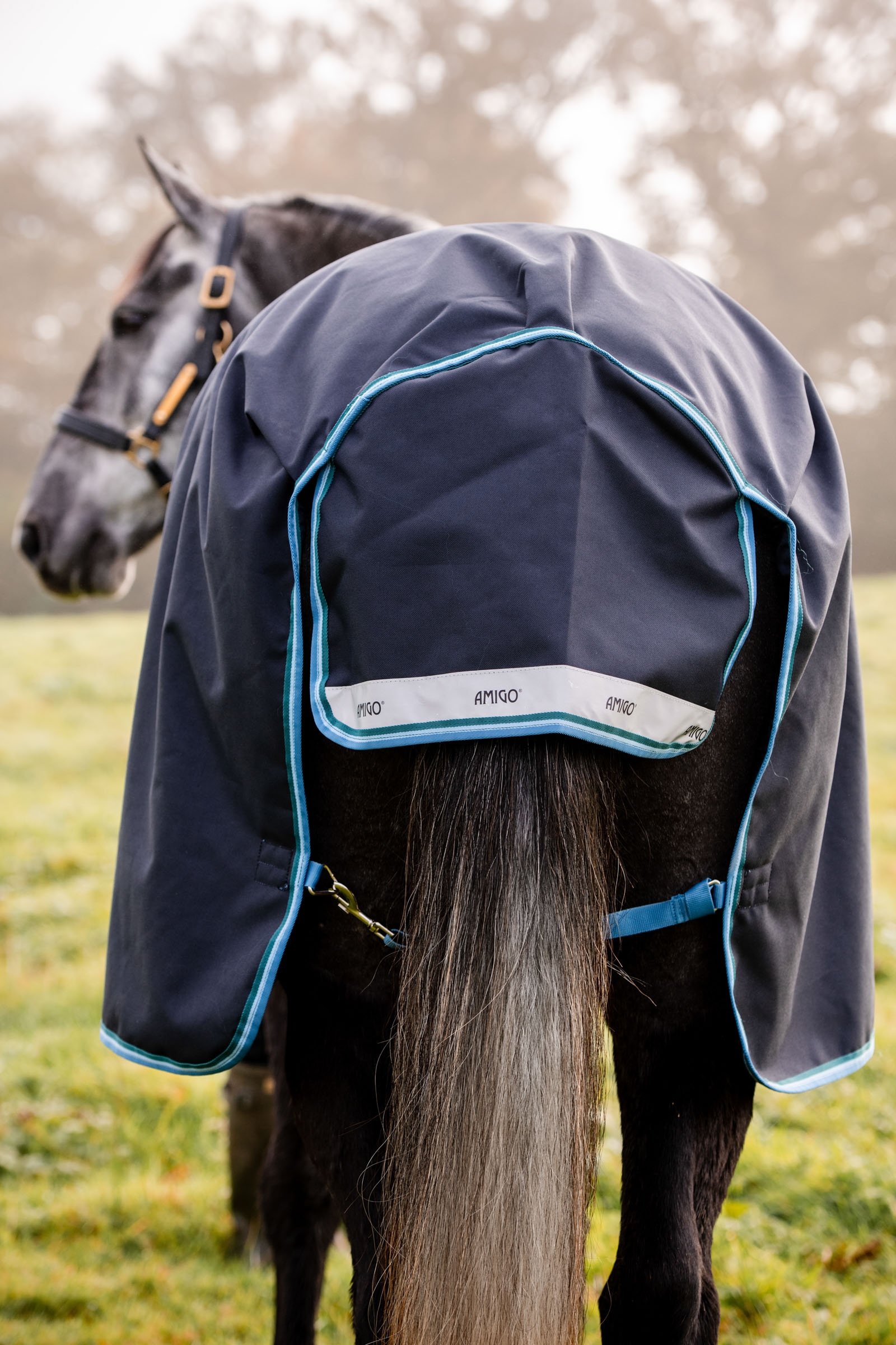 Horseware Amigo Bravo 12 Turnout Rug, 100g