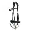 PS of Sweden Flying Change Bridle