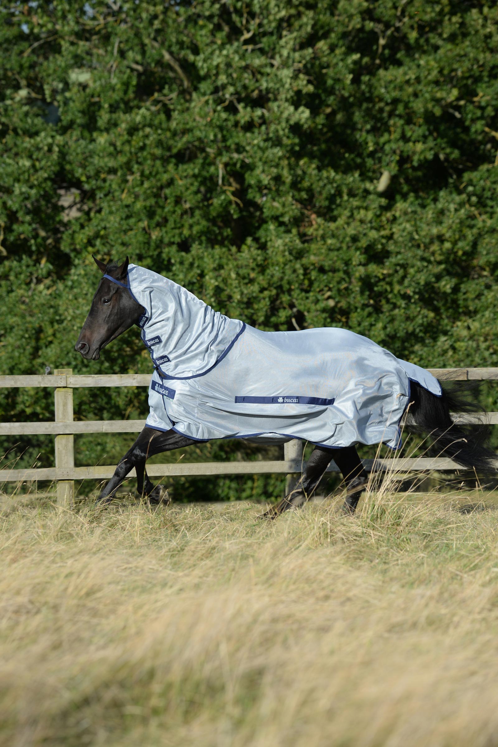 Bucas Buzz-Off Full Neck Fly Rug With Fixed Neck