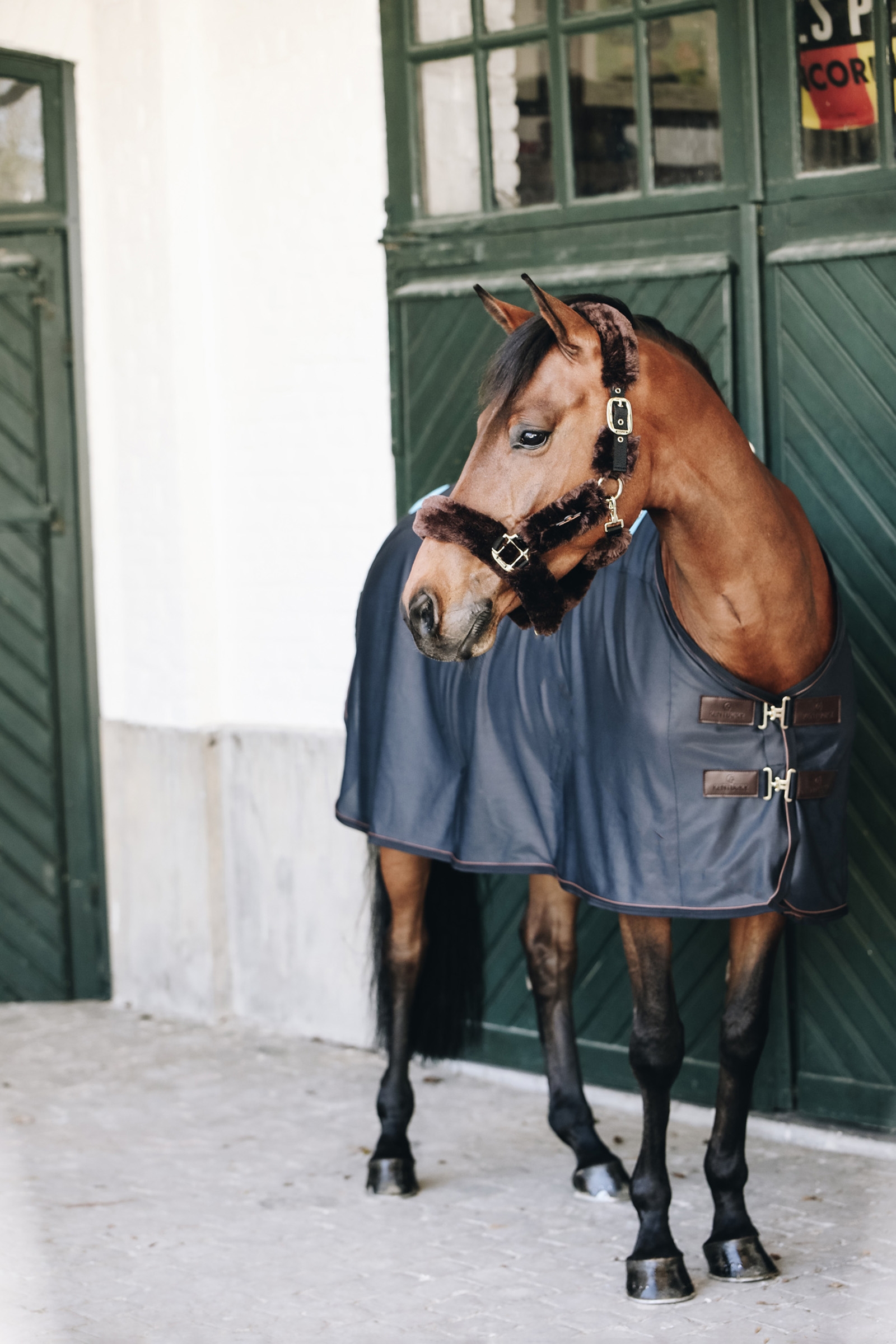 Kentucky Horsewear Tiny Recuptex Magnetic Rug