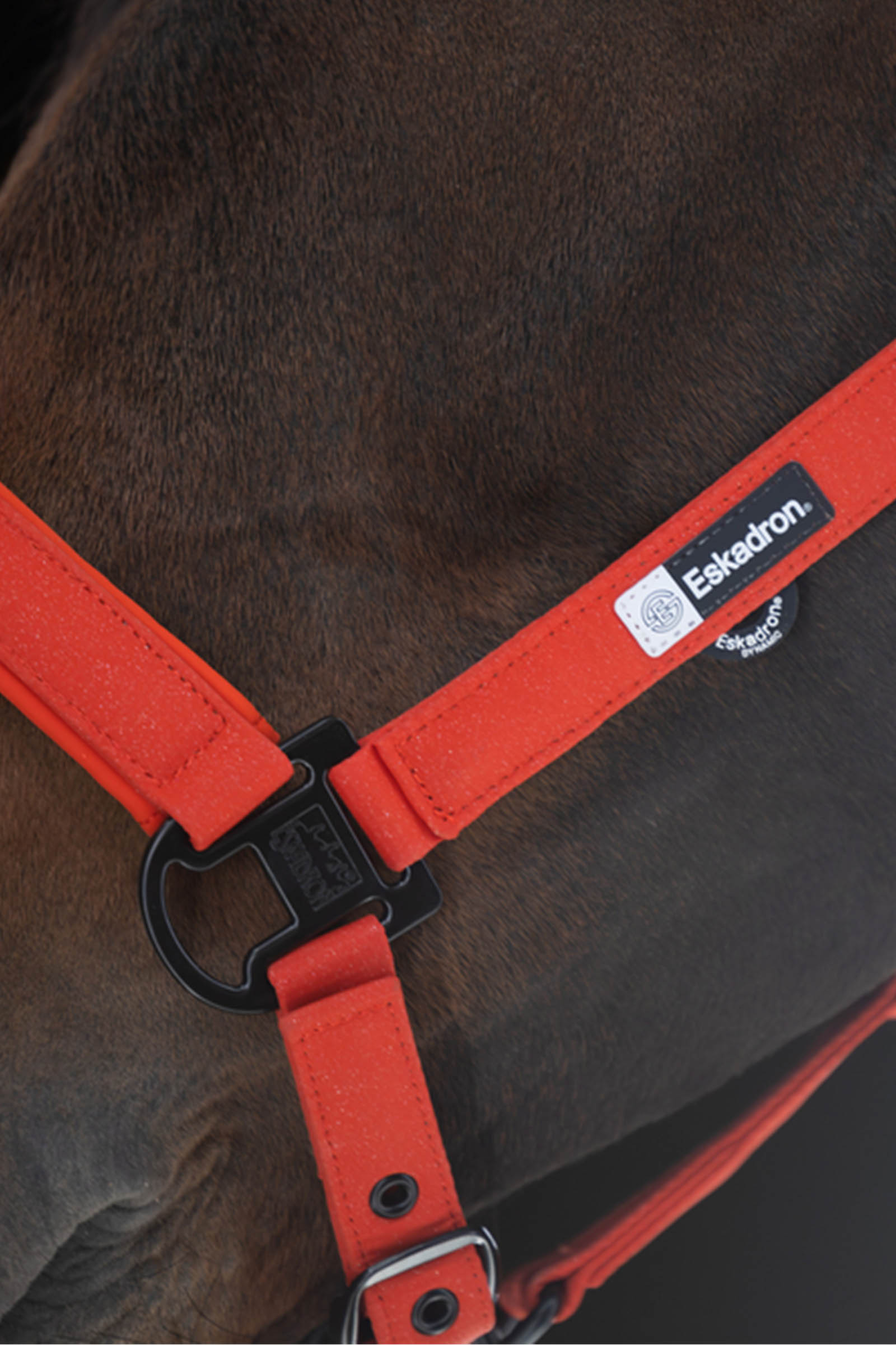 Eskadron Dynamics AW25 Sparkle Double Pin Headcollar