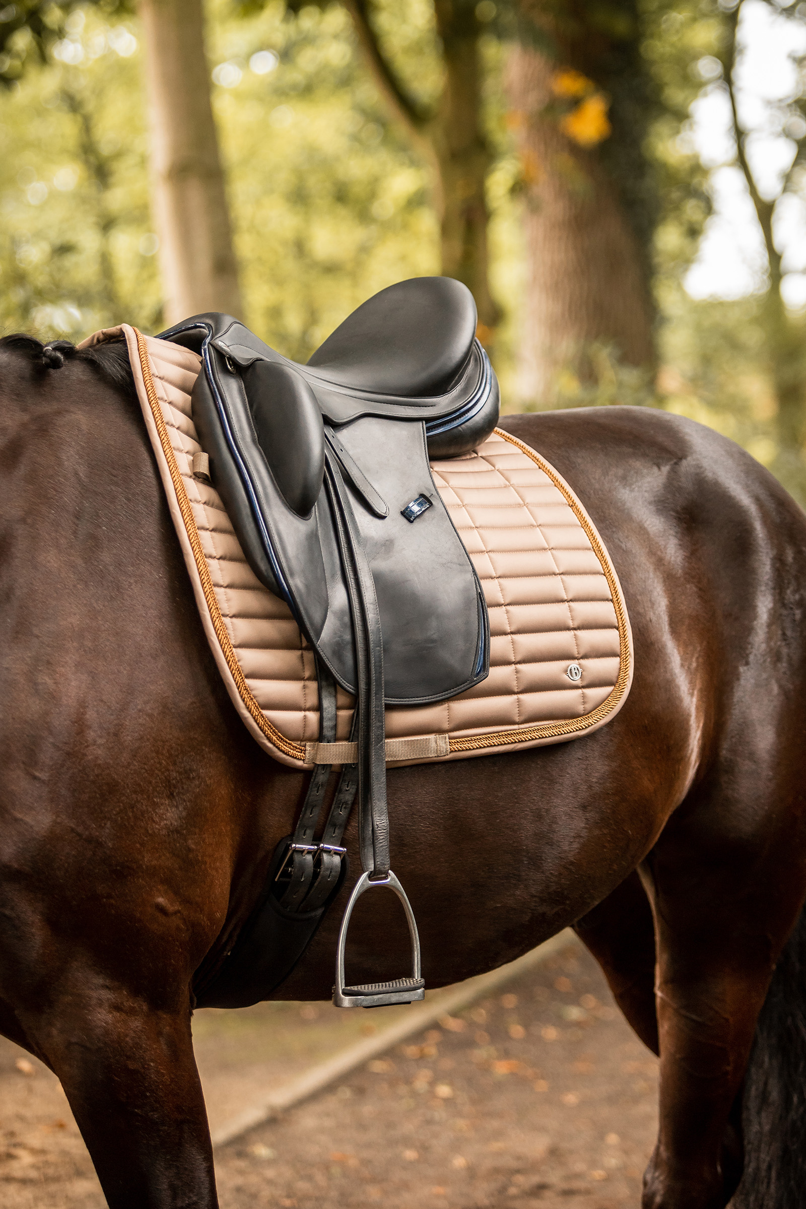 B Vertigo Quinn Dressage Saddle Pad