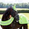 Horze Reflective Harness