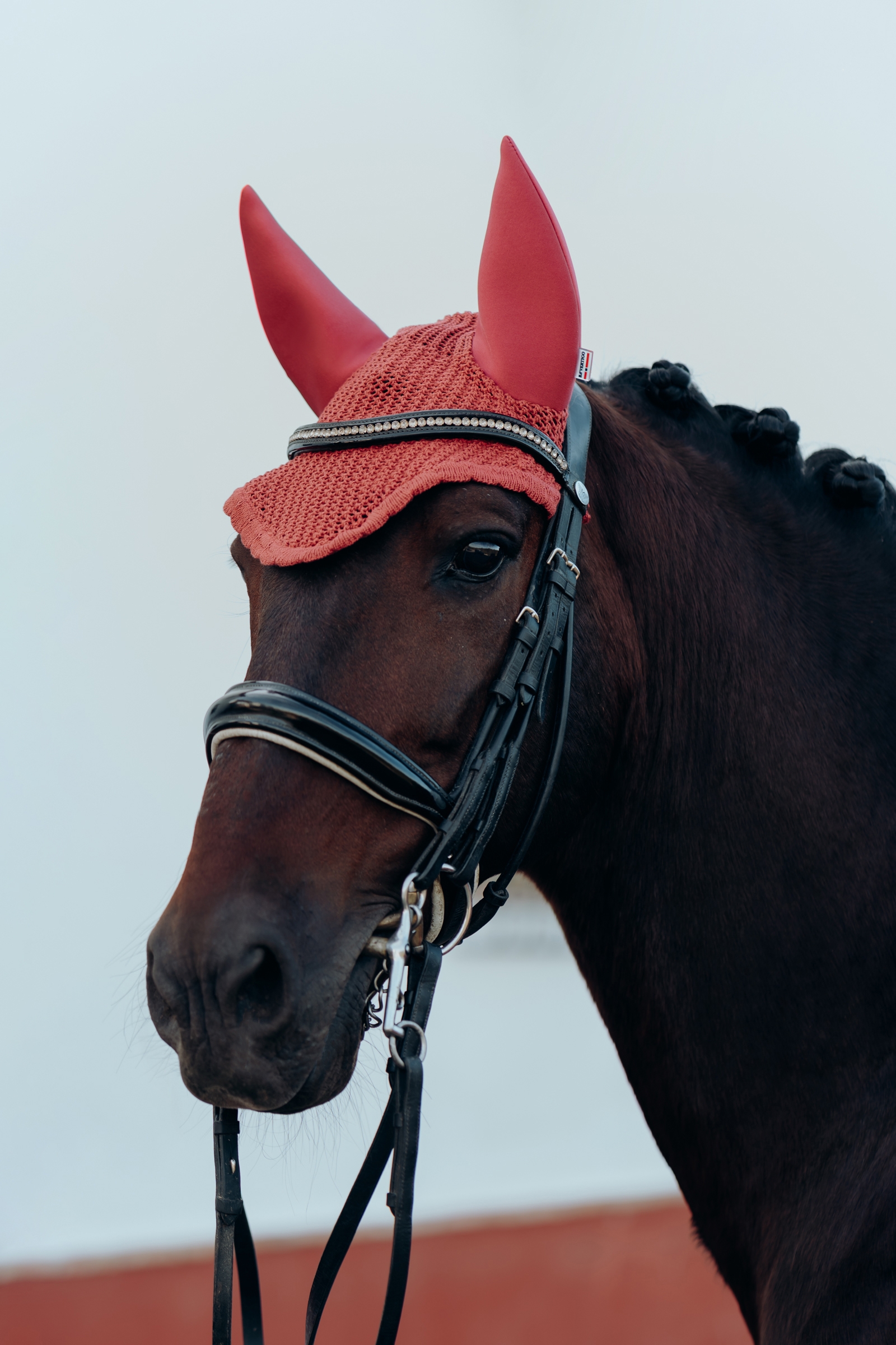 B Vertigo Laurel Ear Net