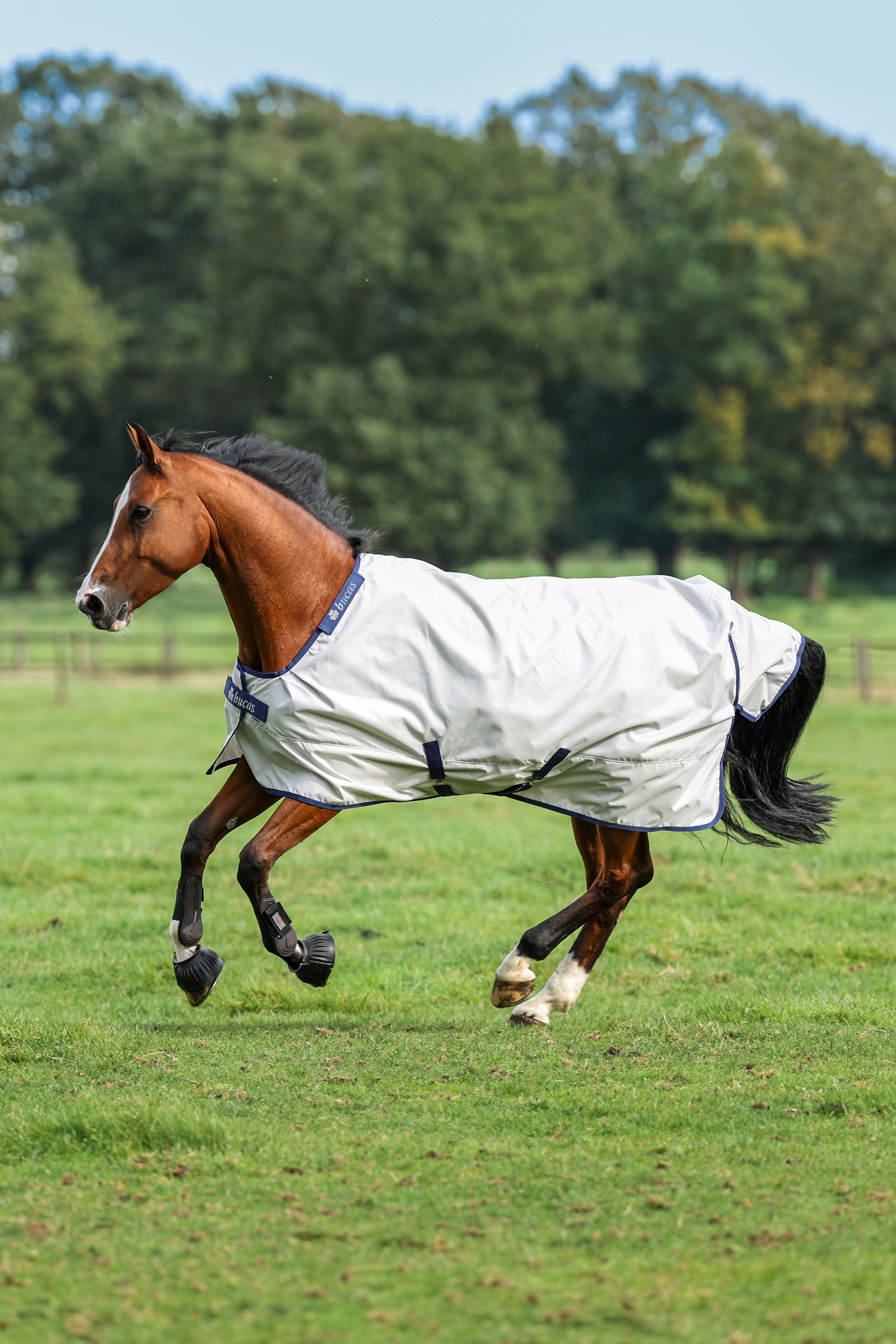 Bucas Sun Shower Turnout Rug, 0g