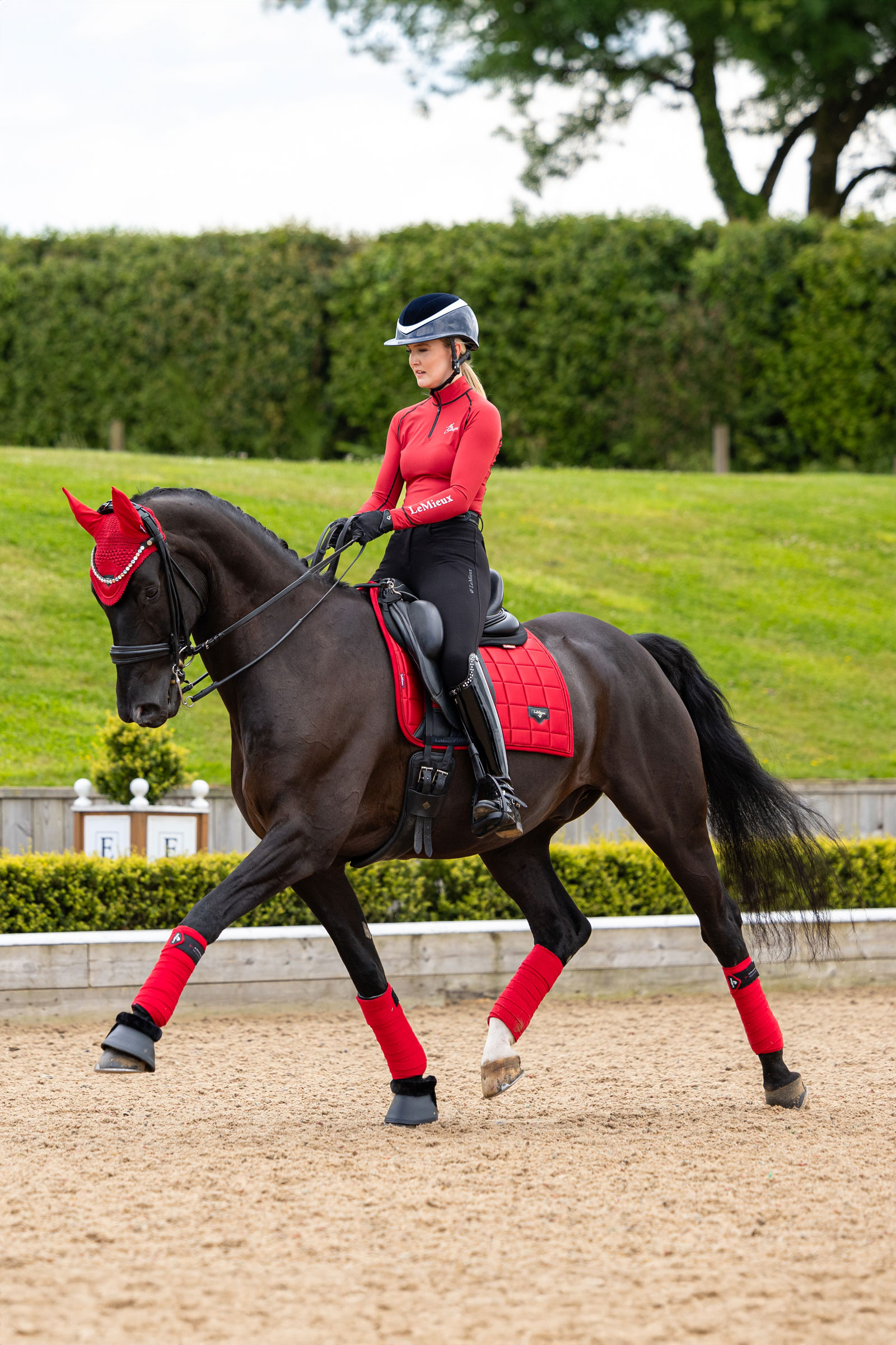 LeMieux Loire Classic Square Dressage Saddle Pad