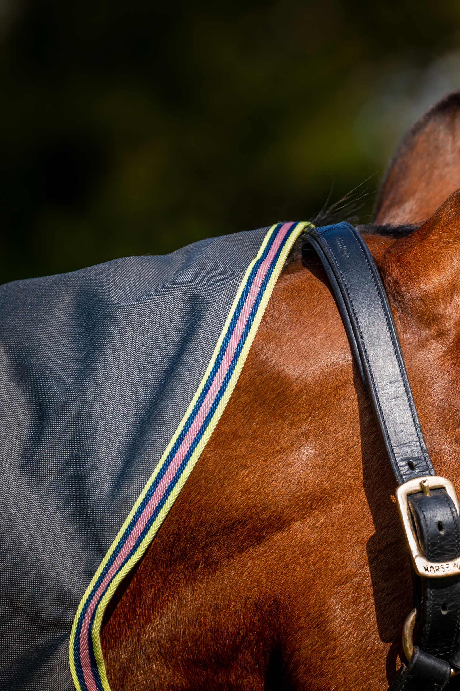 Horseware Amigo Bravo 12 Plus Turnout Rug With Detachable Neck, 0g